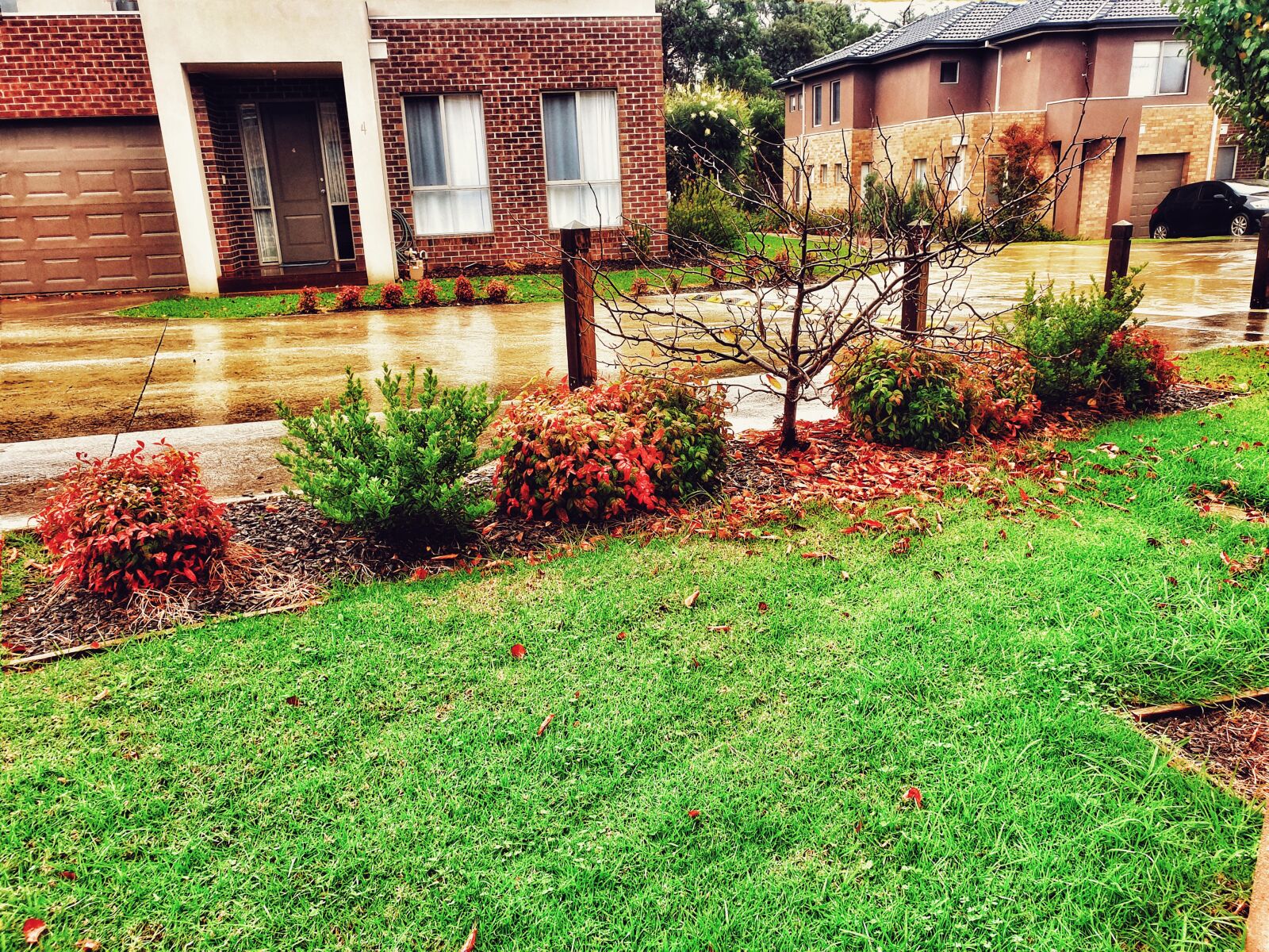 Samsung Galaxy Note9 sample photo. Rainy, cloudy, green photography