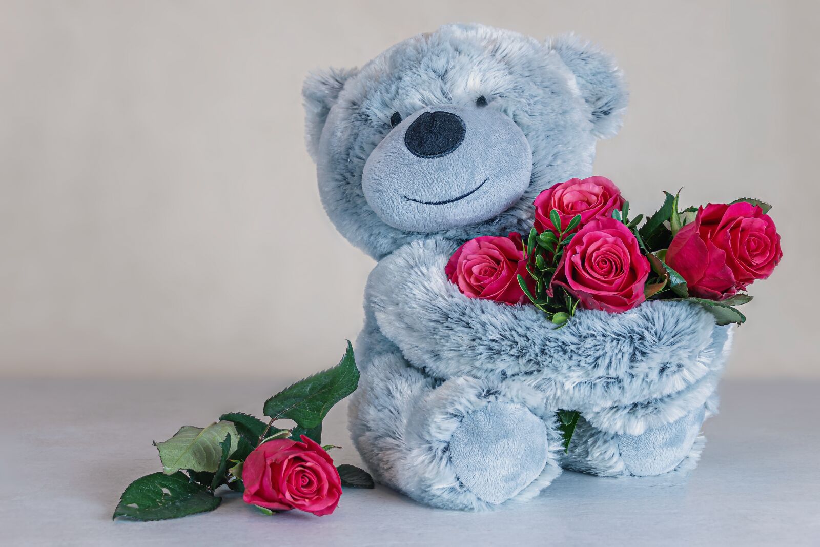 Canon EOS R + Canon EF-S 18-135mm F3.5-5.6 IS STM sample photo. Roses, red roses, teddy photography