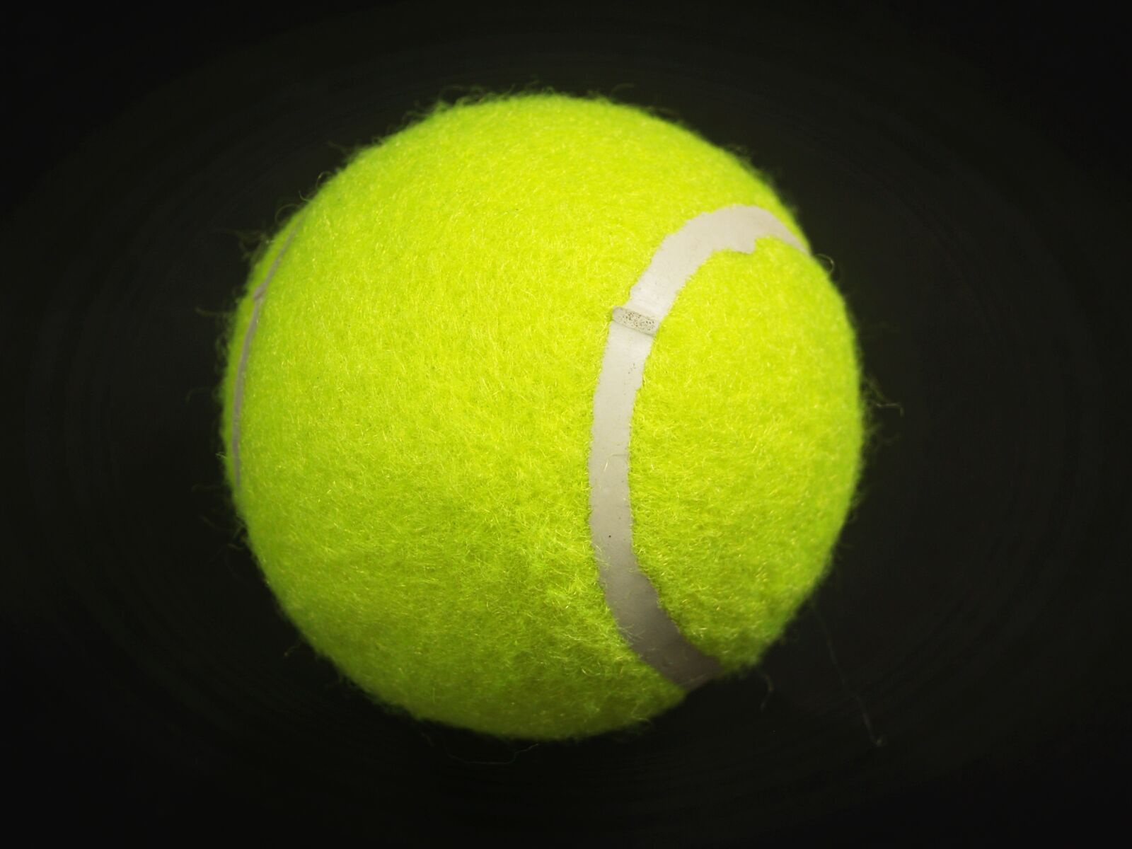 Olympus E-300 (EVOLT E-300) sample photo. Ball, racket, white photography