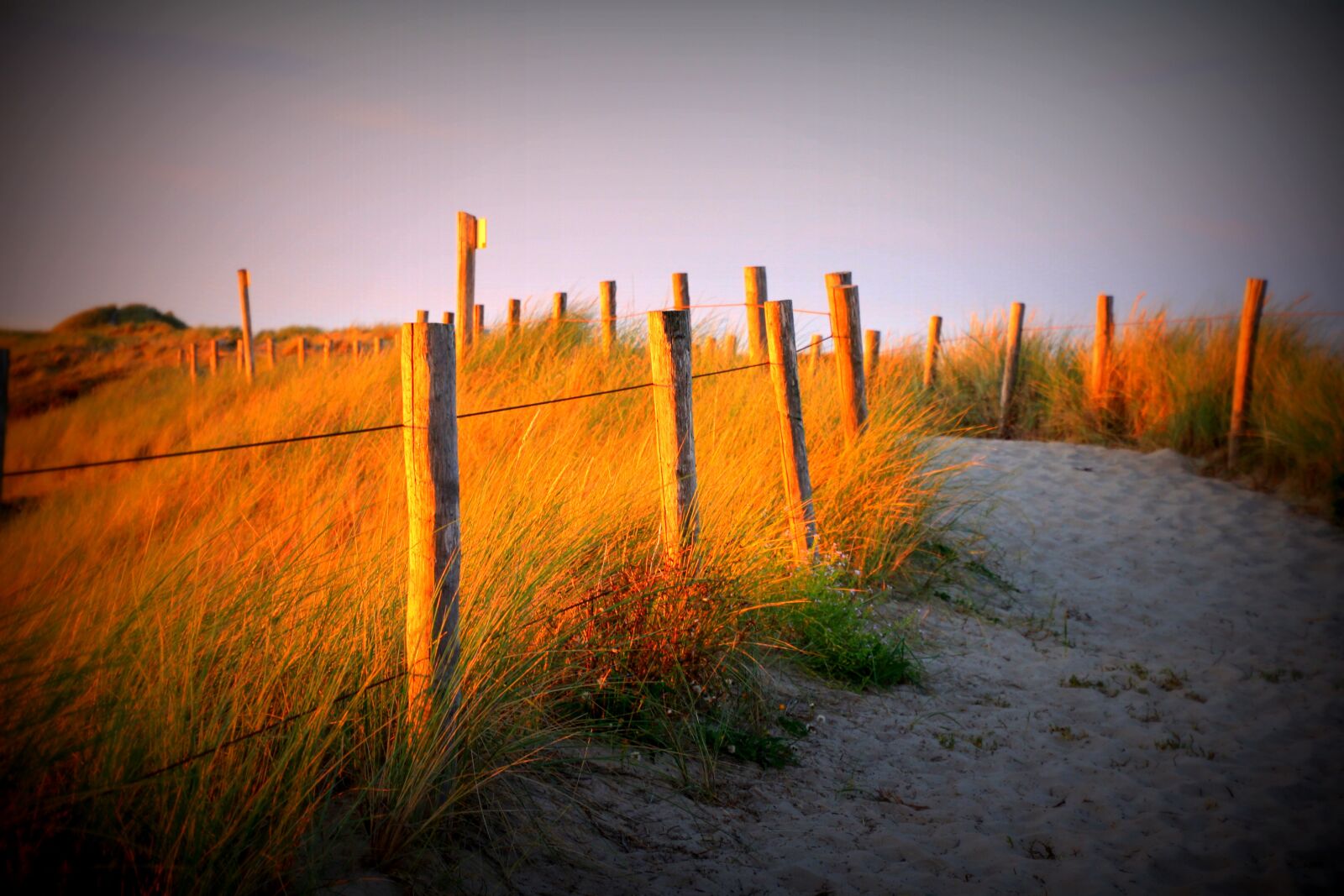 Canon EOS 600D (Rebel EOS T3i / EOS Kiss X5) sample photo. Beach, summer, sun photography