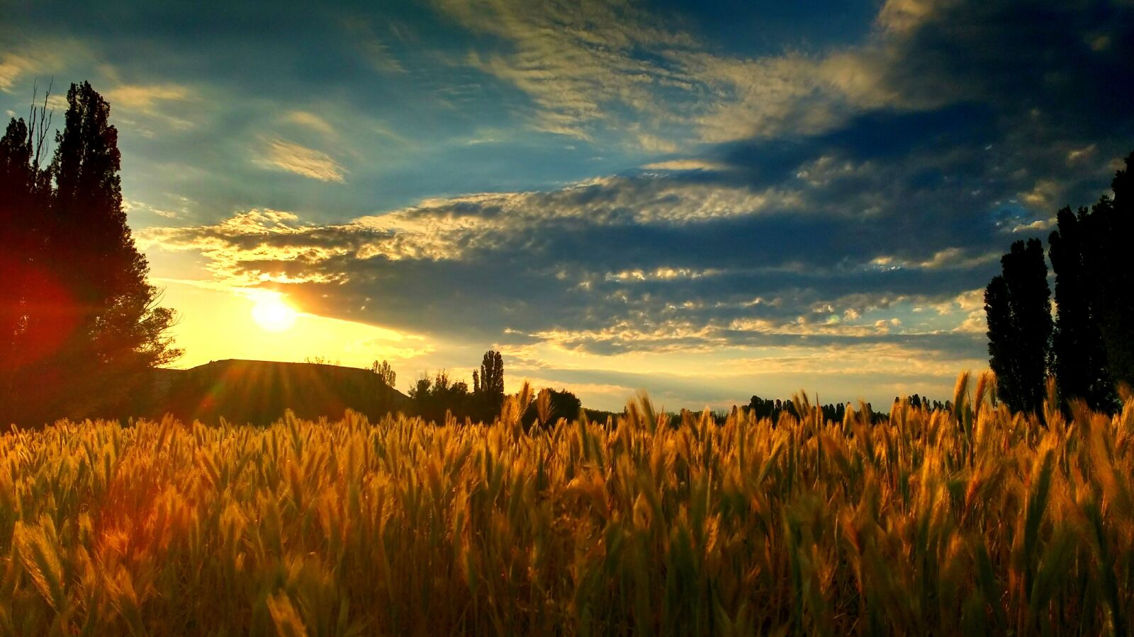 Motorola MotoG3 sample photo. Sunrise, ribera del duero photography