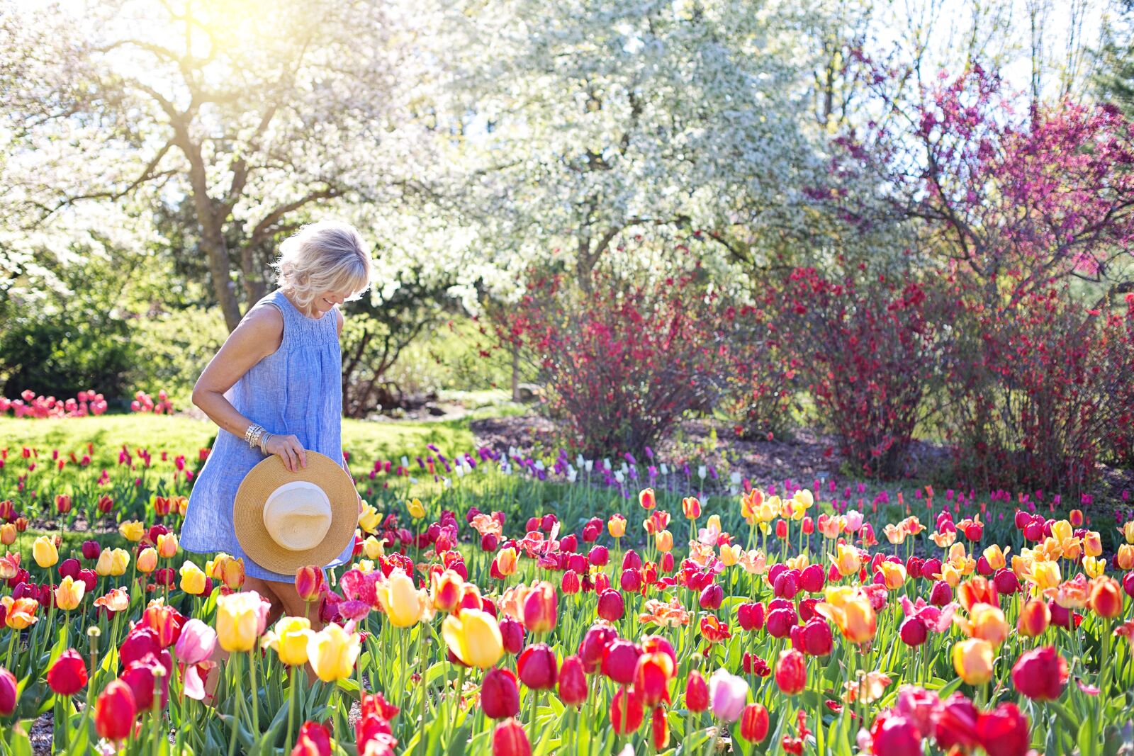 Canon EF 50mm F1.4 USM sample photo. Beautiful, blooming, blossom, blossoming photography