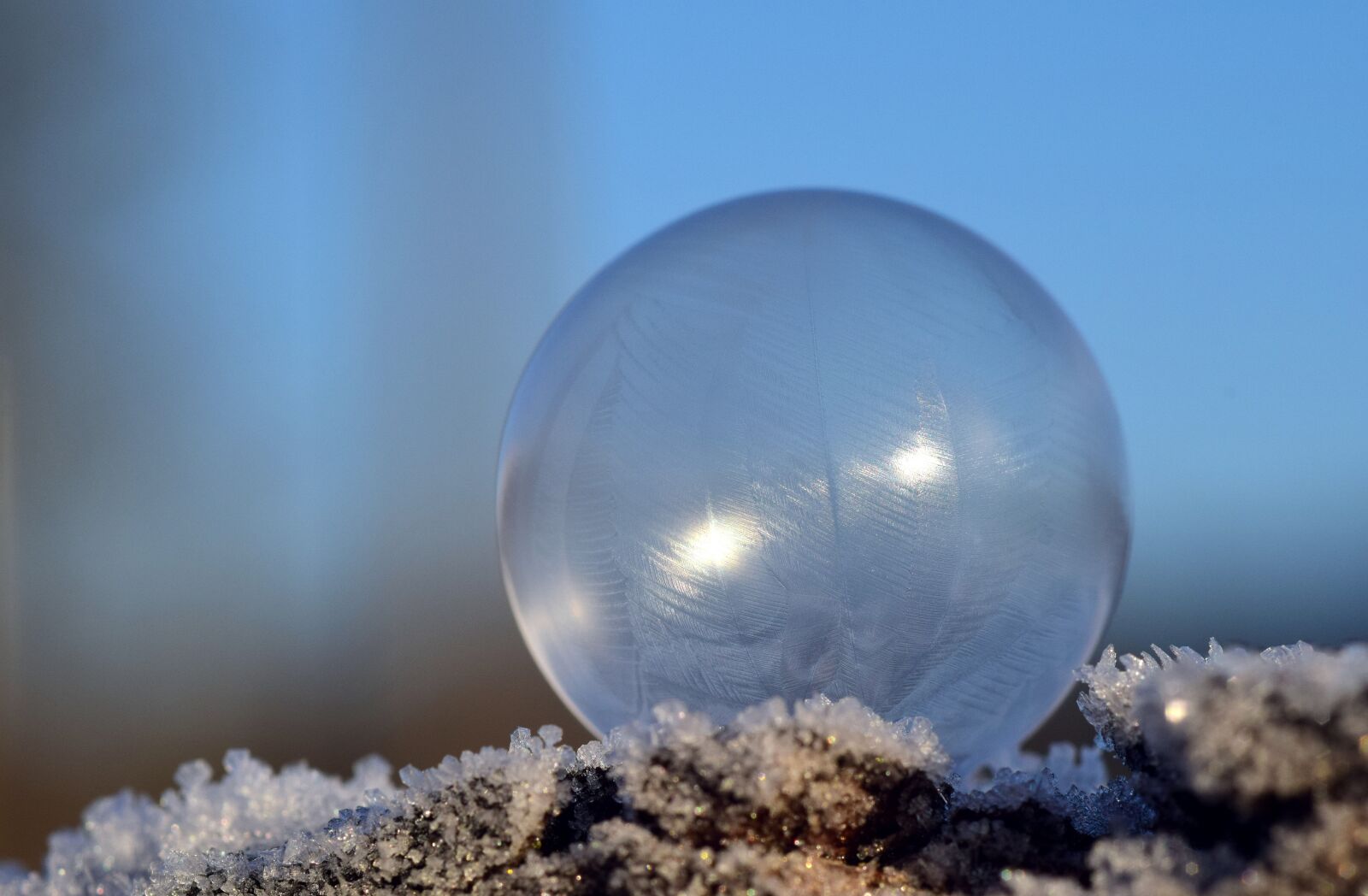 Nikon D3300 sample photo. Ball, frozen, frosted photography