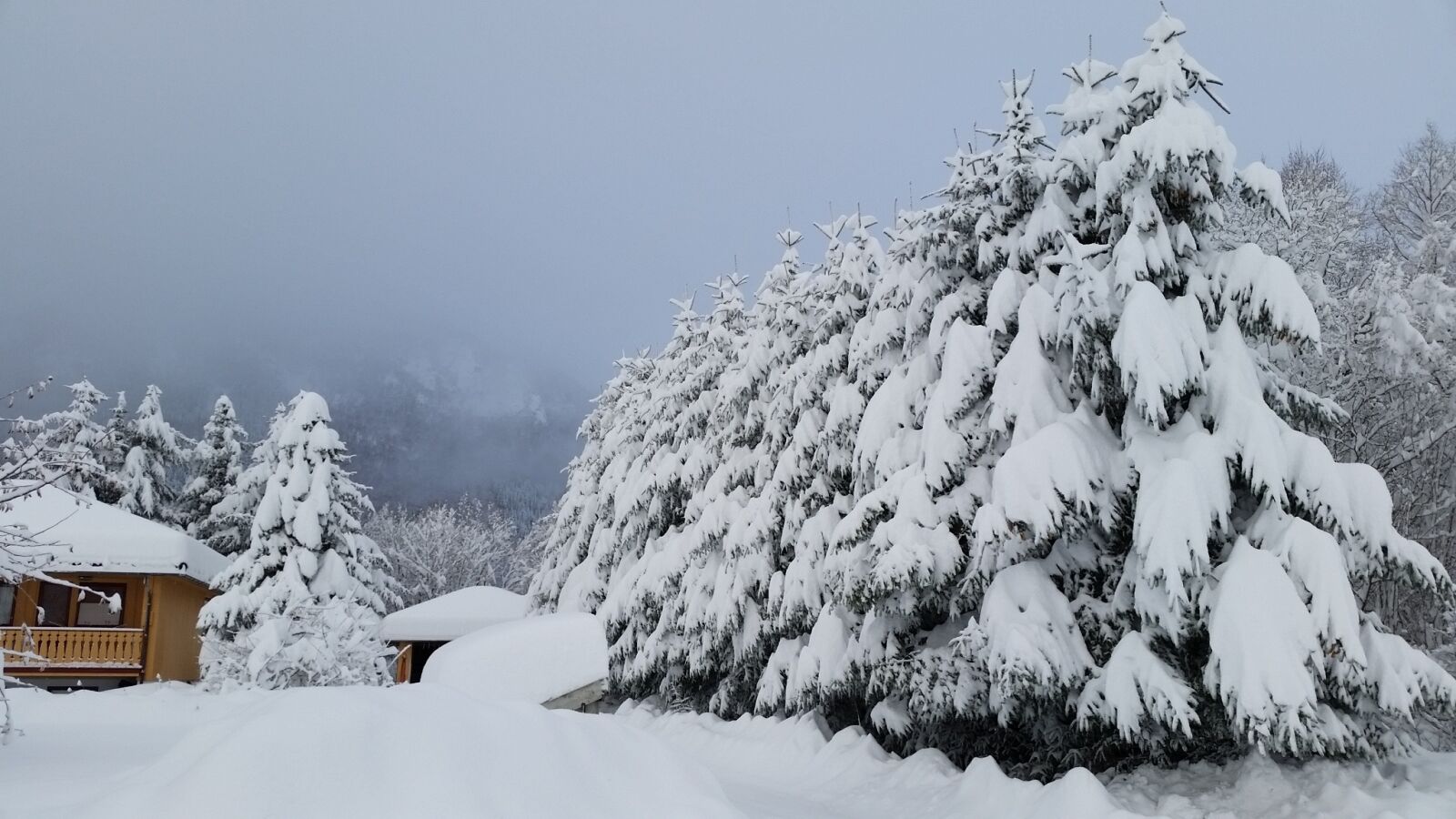 Samsung Galaxy S5 sample photo. Winter, winter landscapes, landscape photography