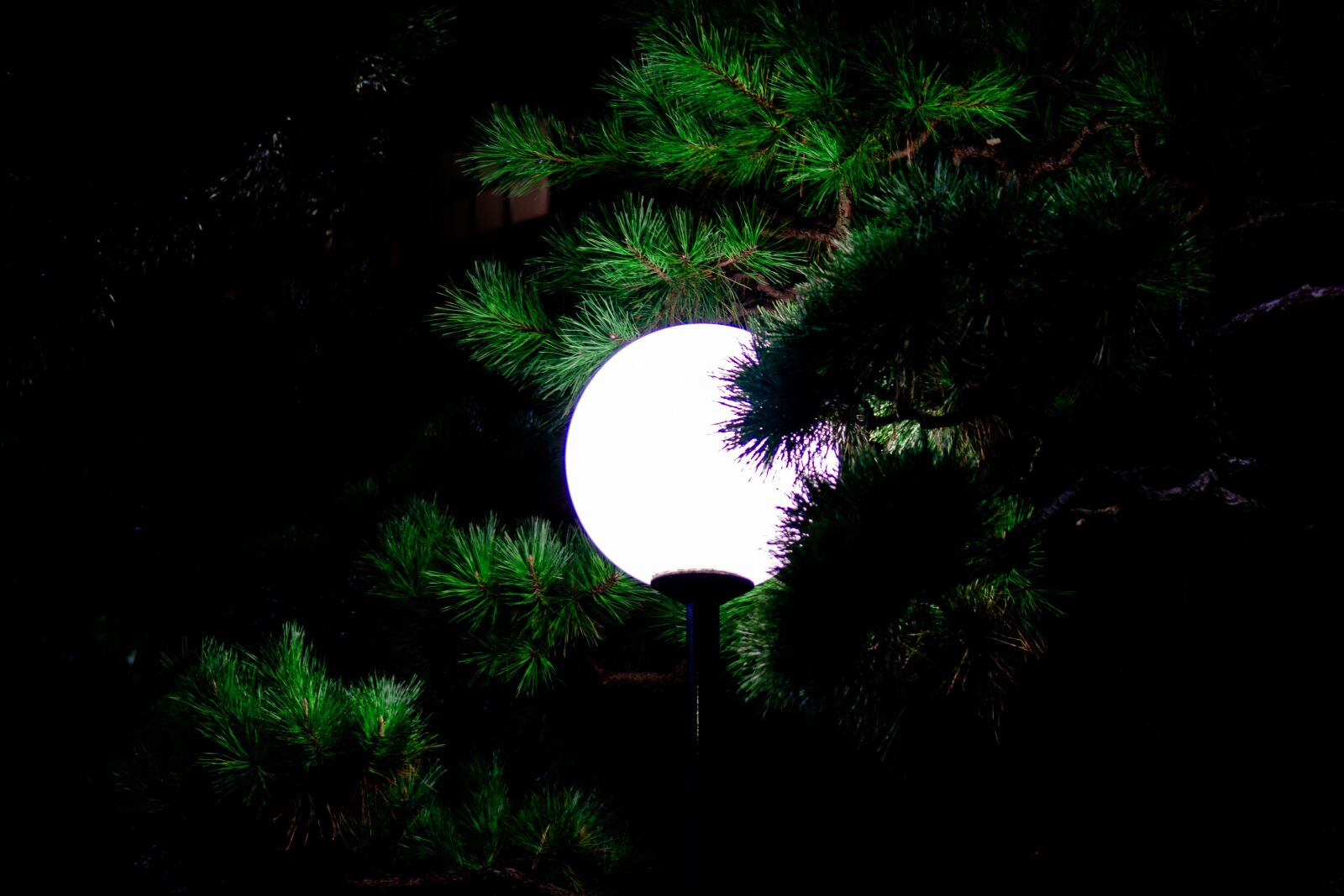 Sony a6000 + Sony E 35mm F1.8 OSS sample photo. Moonlight, light, full moon photography