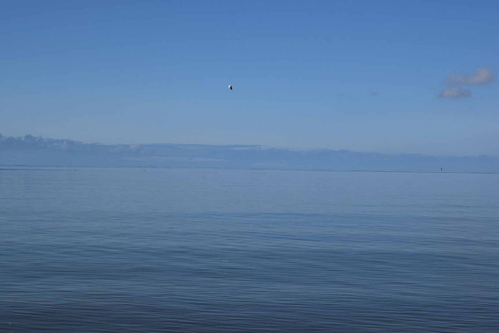 Nikon D3300 sample photo. North sea, blue, sky photography