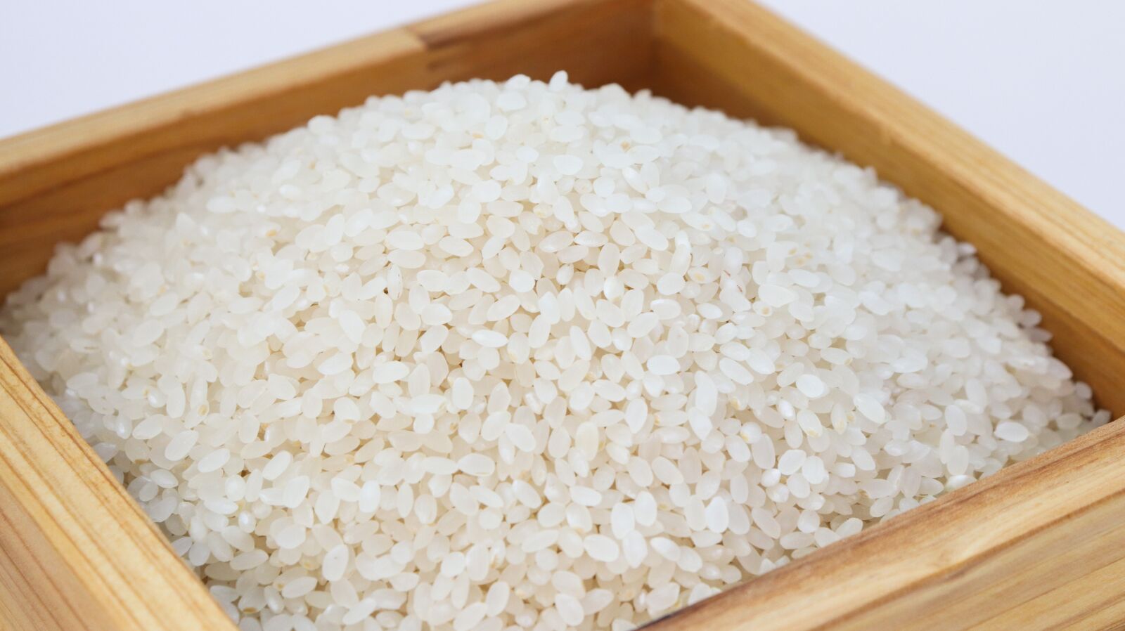 Canon EOS 200D (EOS Rebel SL2 / EOS Kiss X9) sample photo. Rice, white rice, korea photography