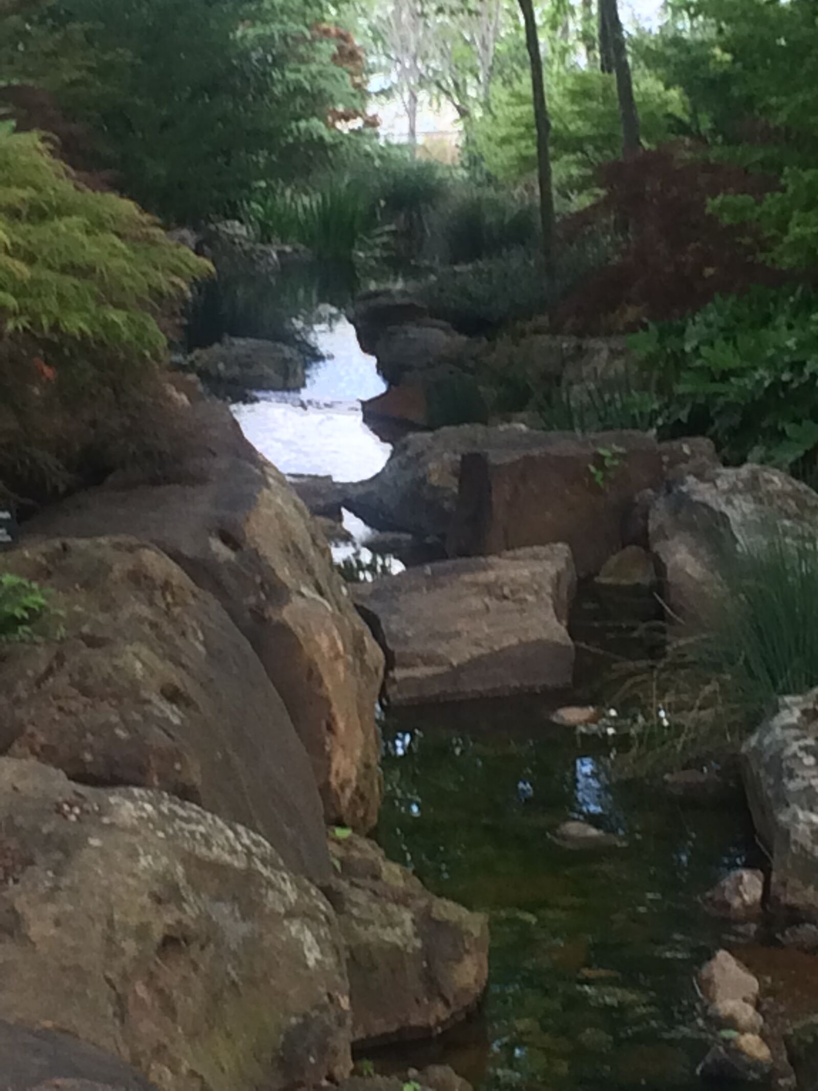 iPhone 5s back camera 4.15mm f/2.2 sample photo. Nature, park photography