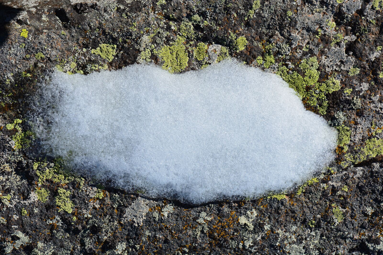 Nikon D7100 sample photo. Kennedy, stone, texture photography