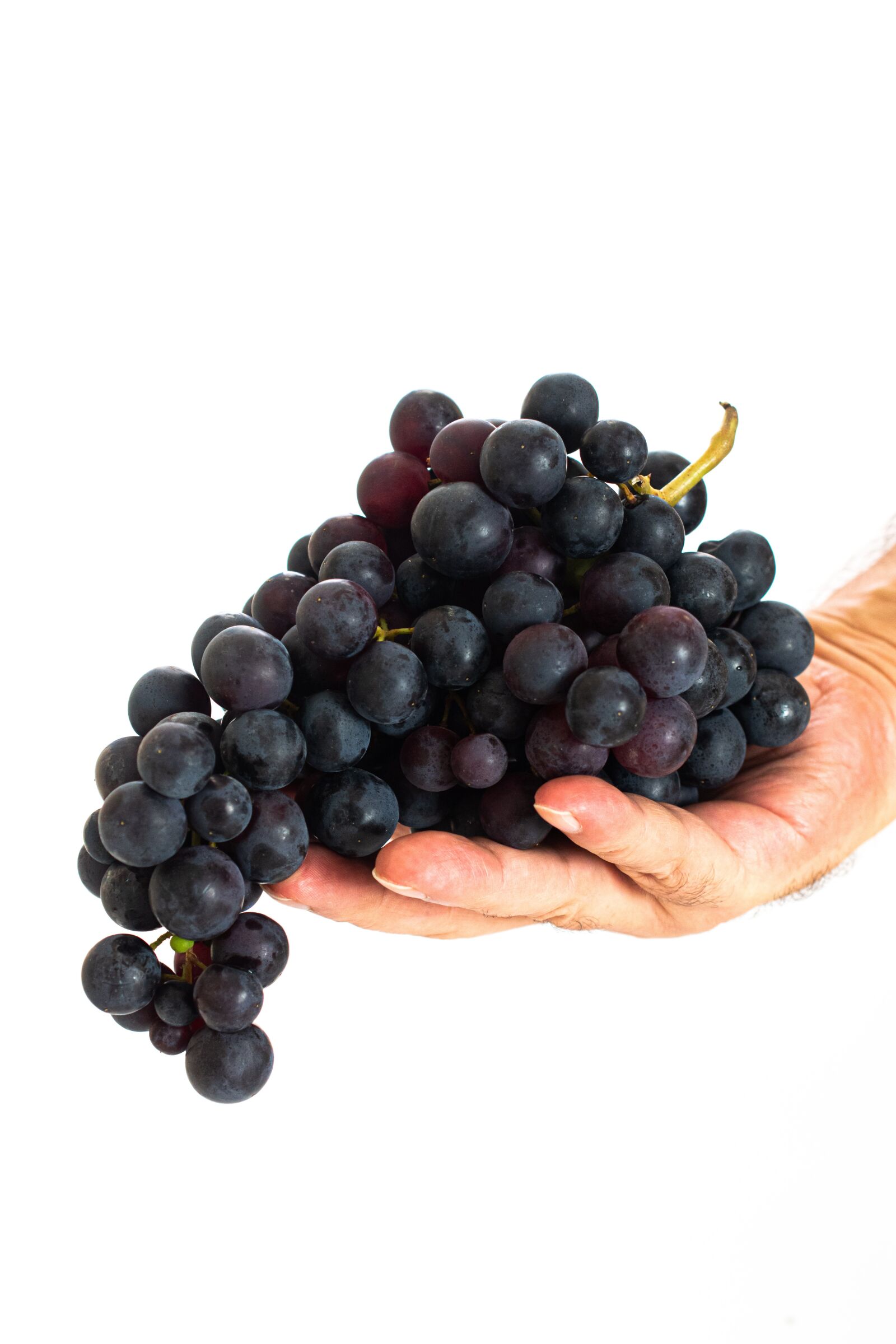 Nikon D5600 sample photo. Grape, fruit, food photography