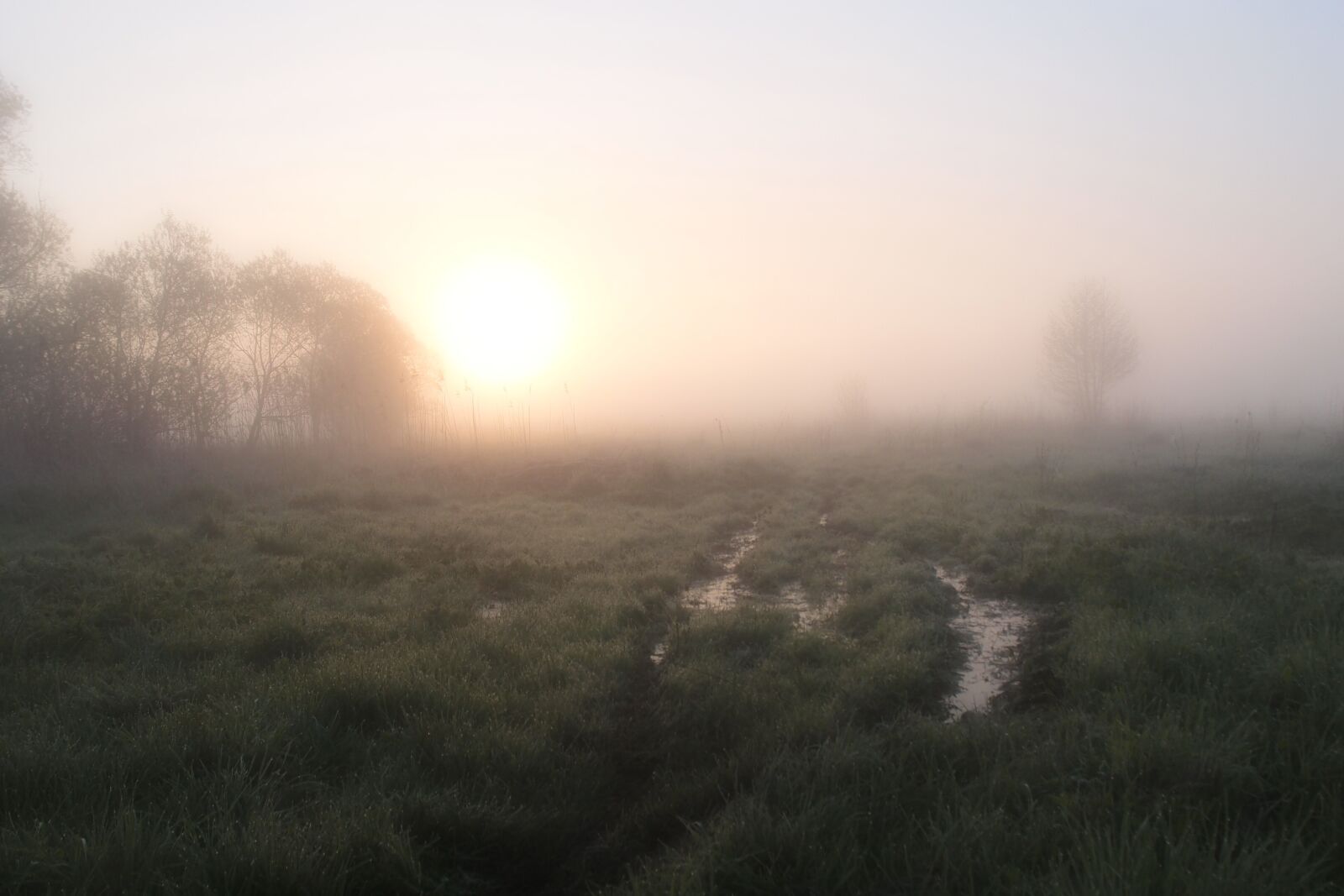 Olympus XZ-1 sample photo. Morning, fog, summer photography