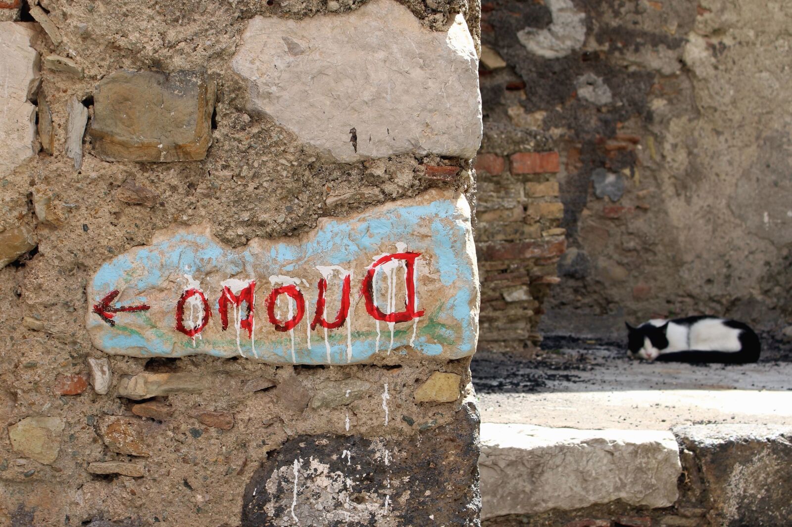 Canon EOS 700D (EOS Rebel T5i / EOS Kiss X7i) sample photo. Cat, wall, graffiti, pets photography