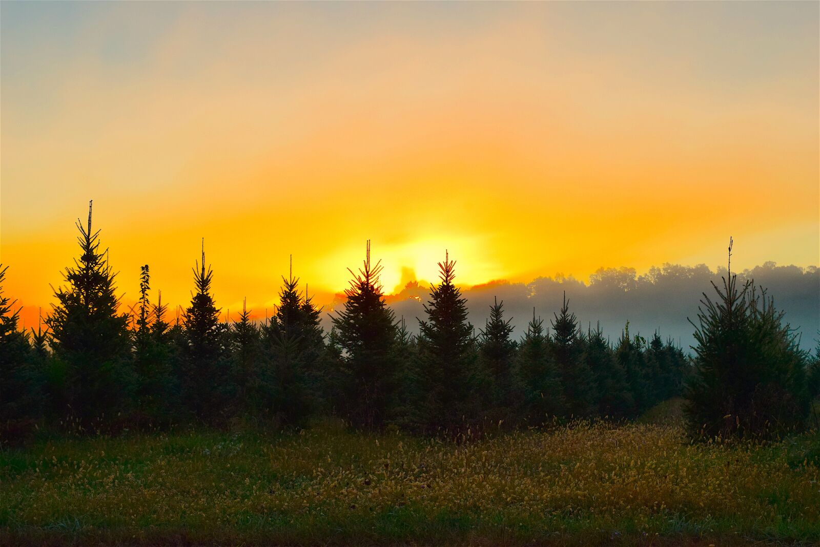 Nikon D3300 sample photo. Sunrise, mist, field photography