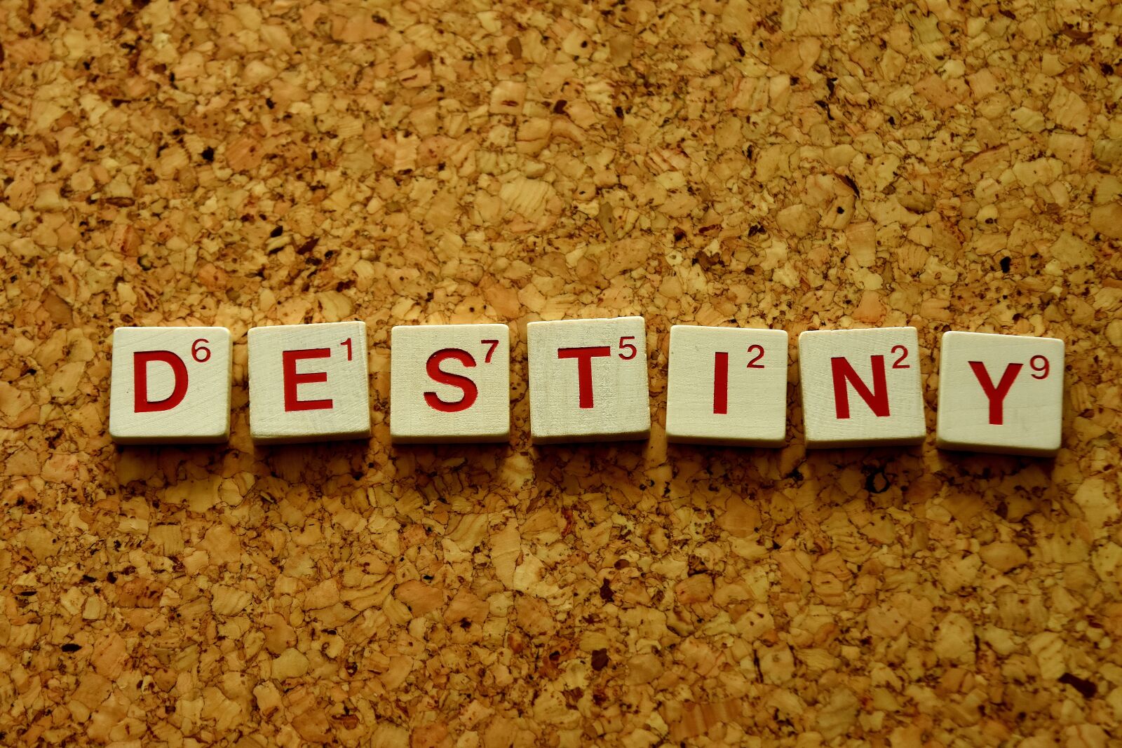 Nikon D7200 sample photo. Fate, word, letters photography