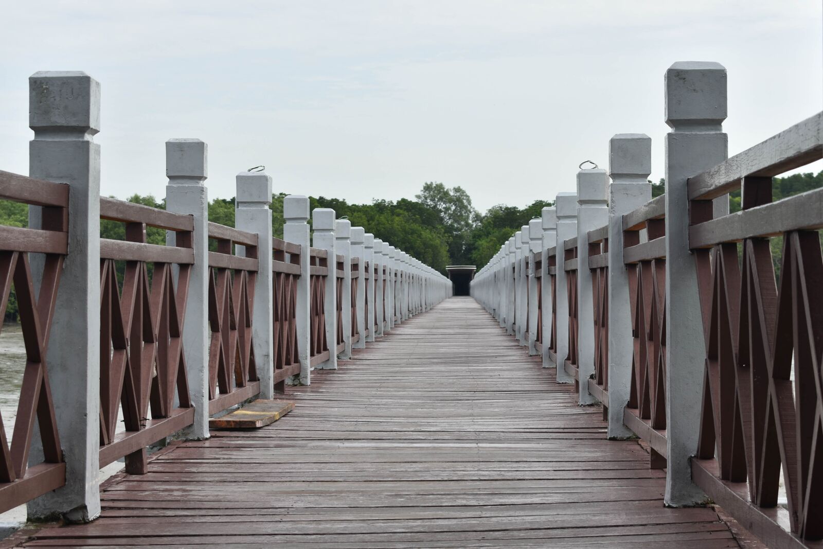 Nikon D3400 sample photo. Tanjung, piai, walk photography