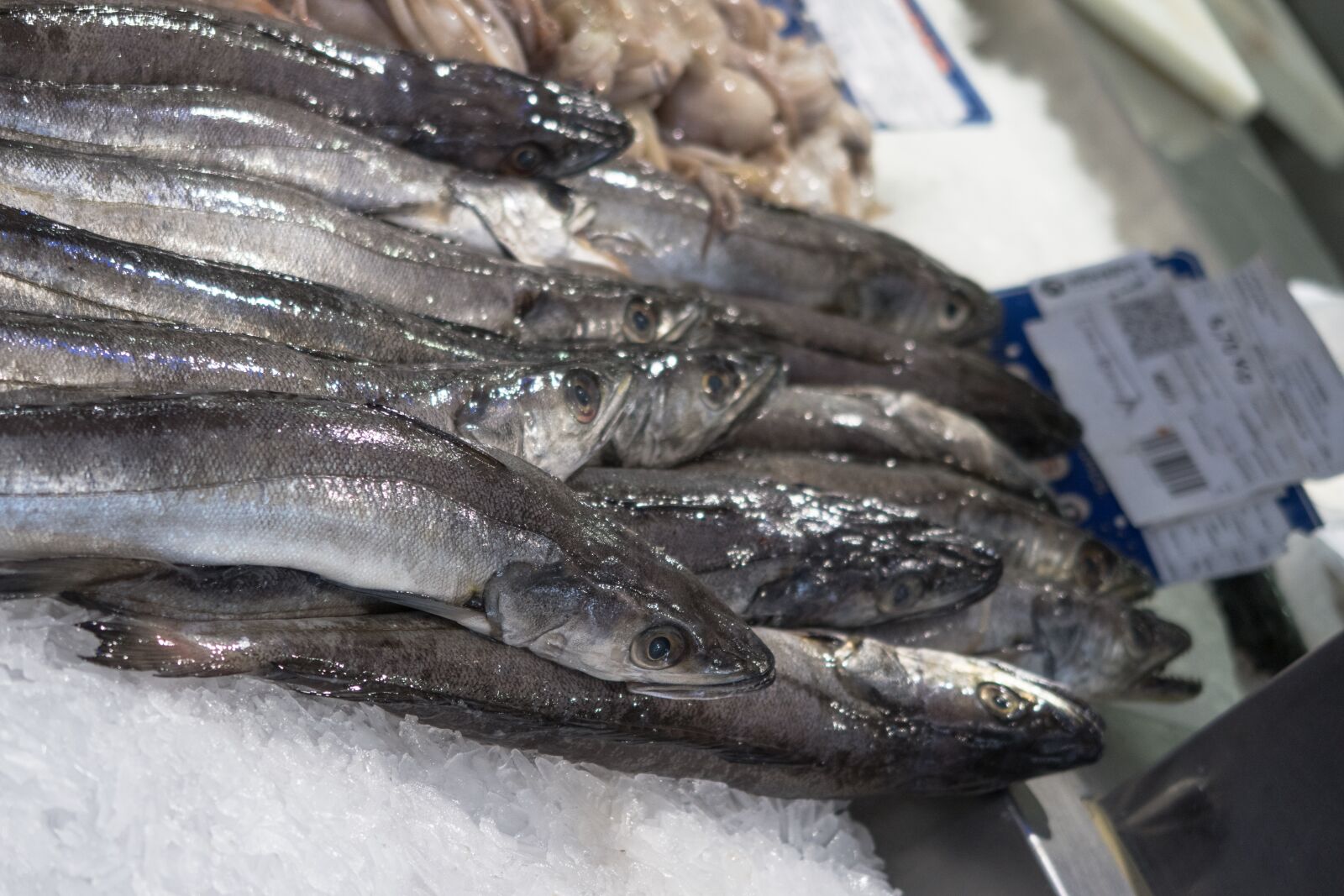 Canon PowerShot G7 X Mark II sample photo. Fish, market, food photography