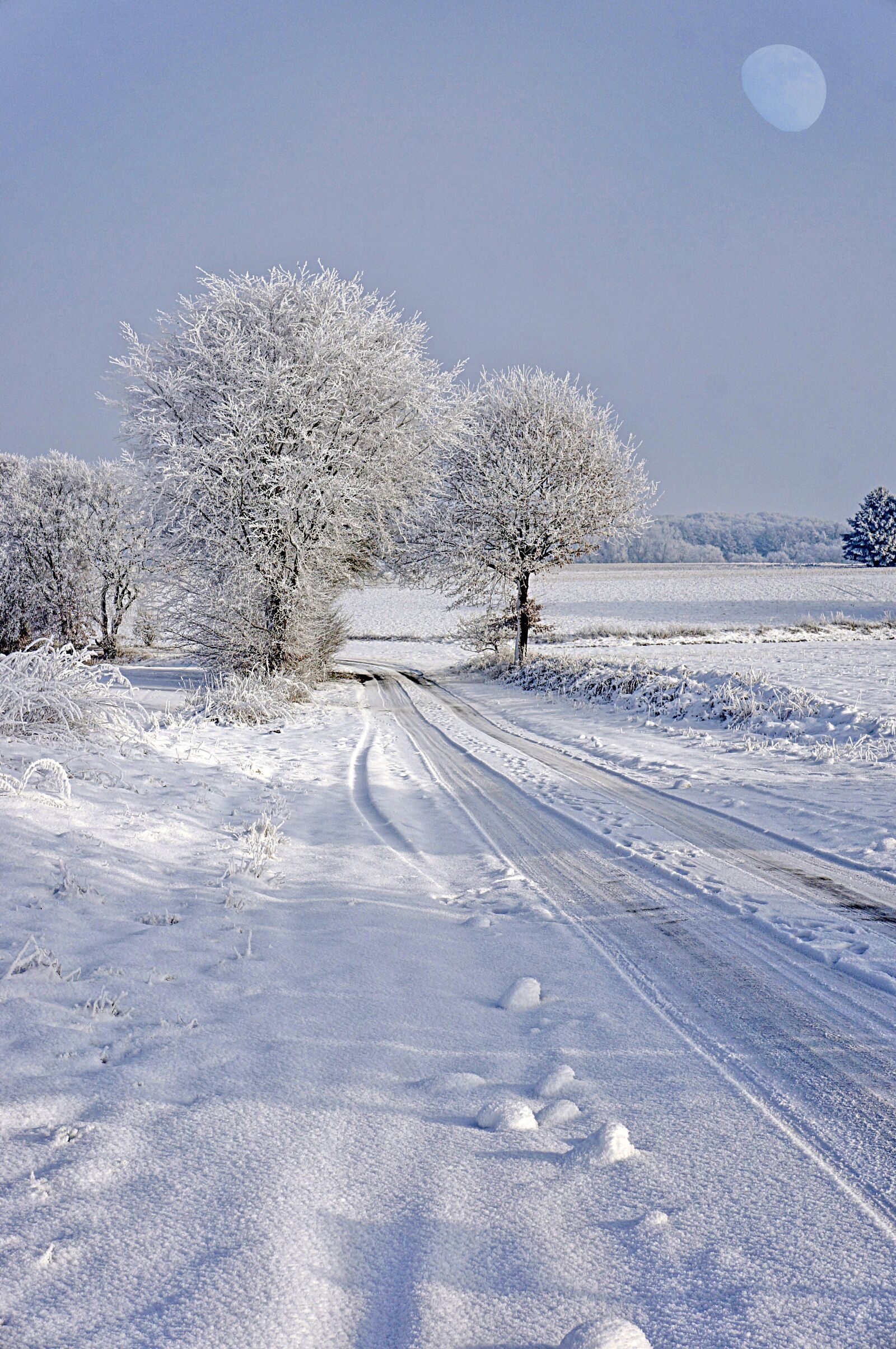 Sony Alpha NEX-6 sample photo. Landscape, winter, cold photography
