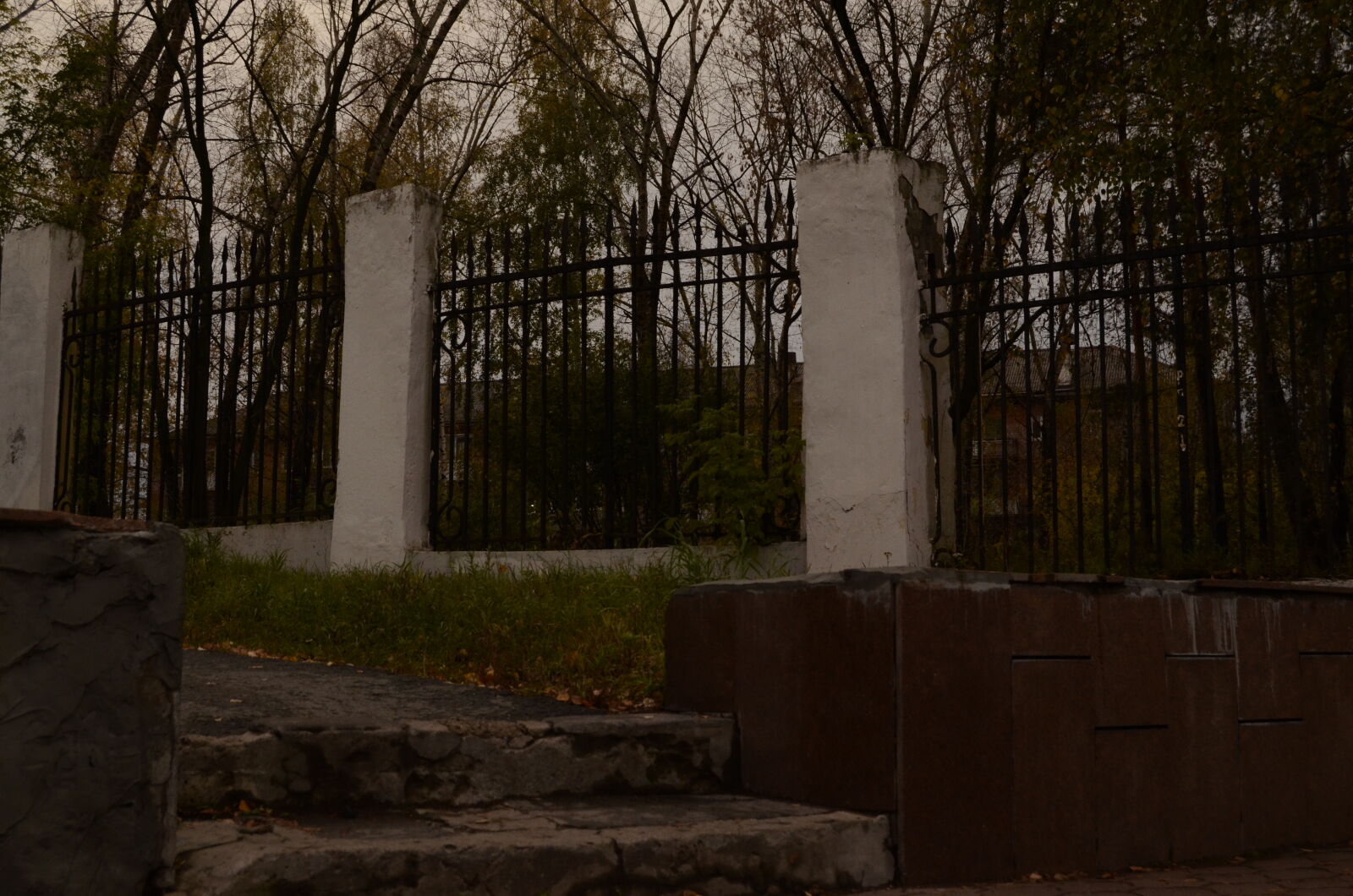 Nikon D5100 sample photo