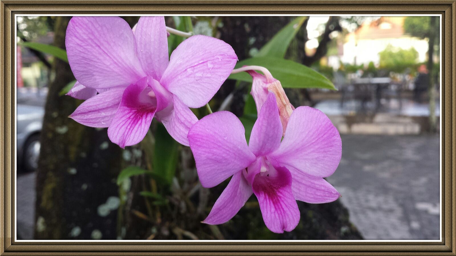 Samsung Galaxy S4 sample photo