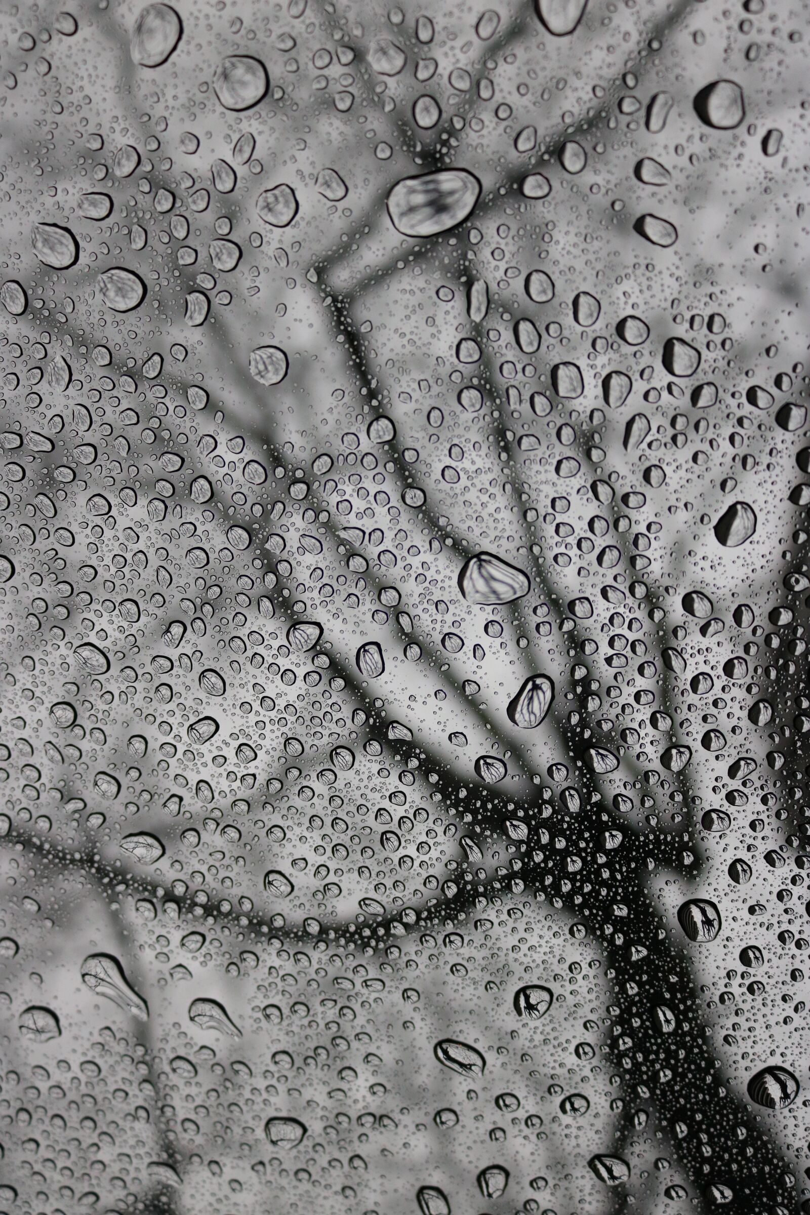 Canon EOS 750D (EOS Rebel T6i / EOS Kiss X8i) sample photo. Rain, drops, glass photography