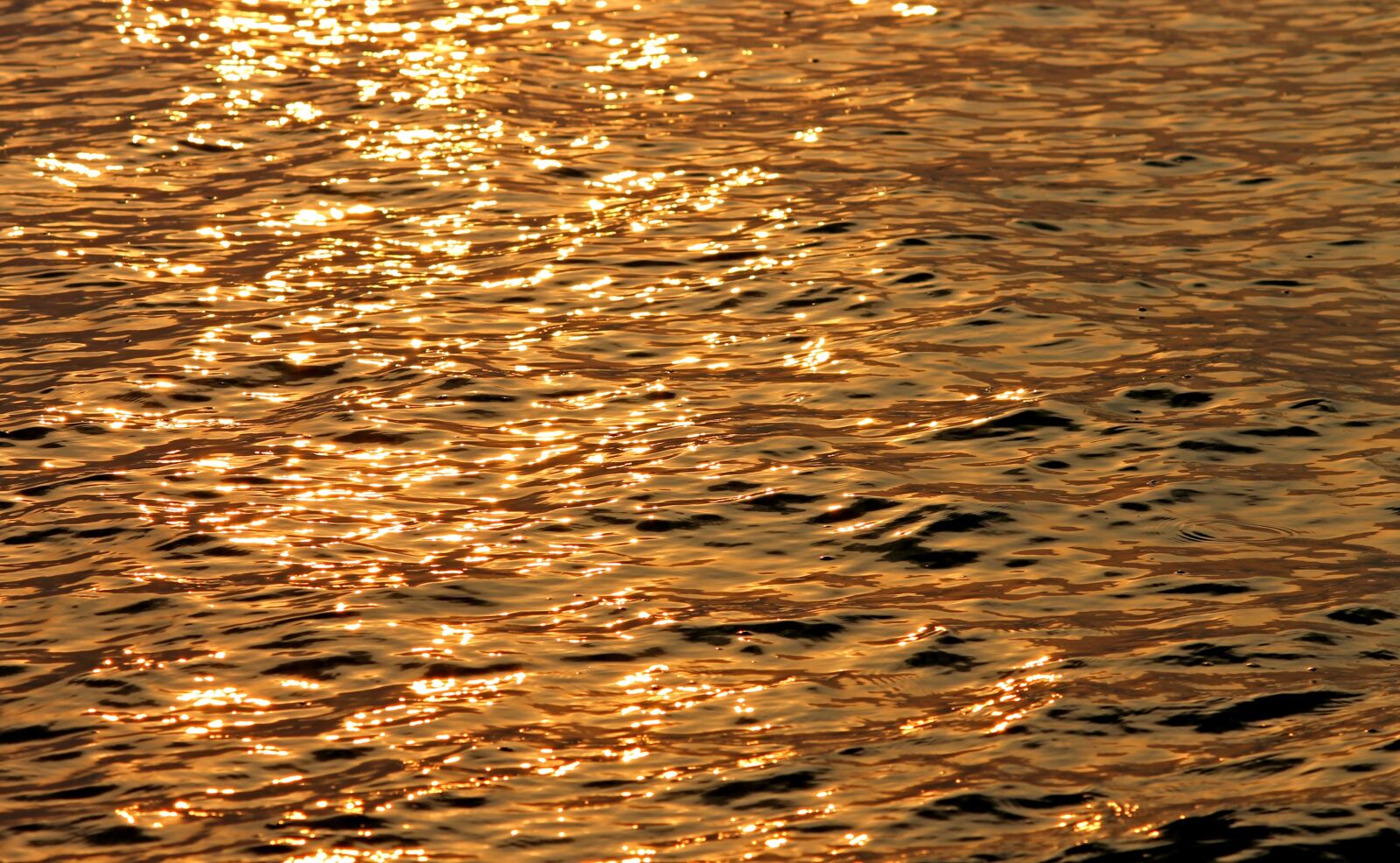 Canon EOS 1100D (EOS Rebel T3 / EOS Kiss X50) sample photo. Water, mirroring, evening sun photography