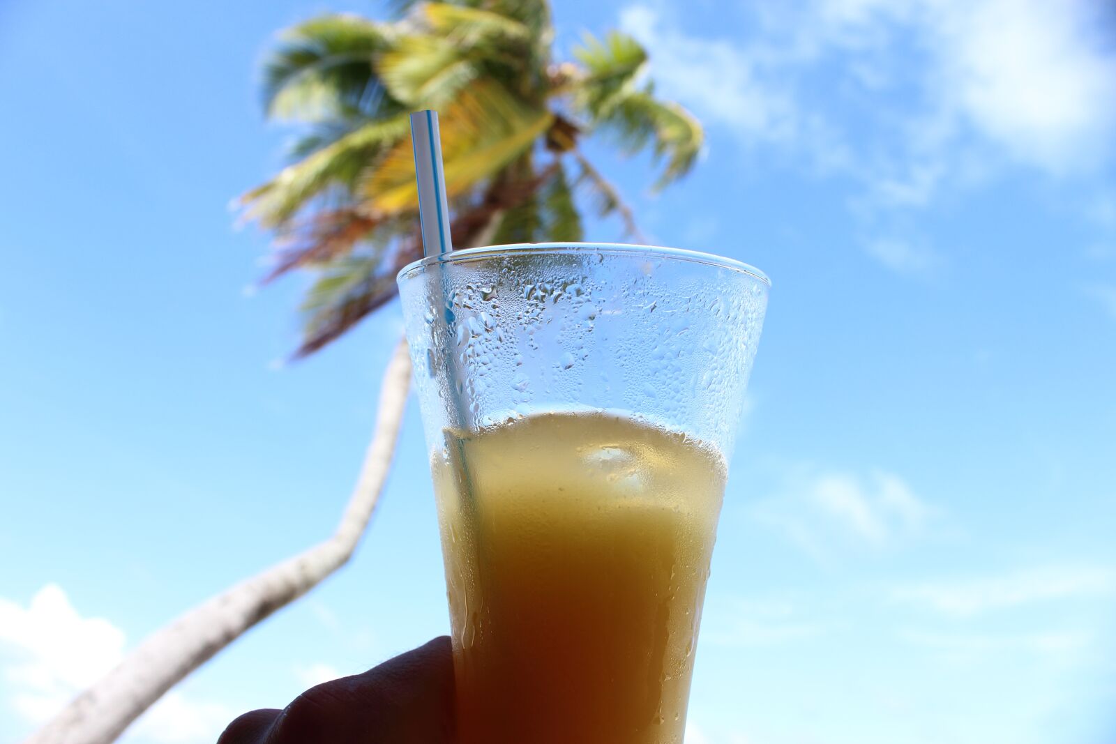 Canon EOS 1200D (EOS Rebel T5 / EOS Kiss X70 / EOS Hi) sample photo. Palm, drink, soft drink photography