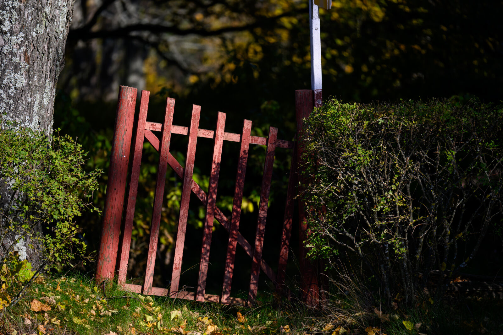 Tamron 150-500mm F5-6.7 Di III VC VXD sample photo. Gate of the sun photography