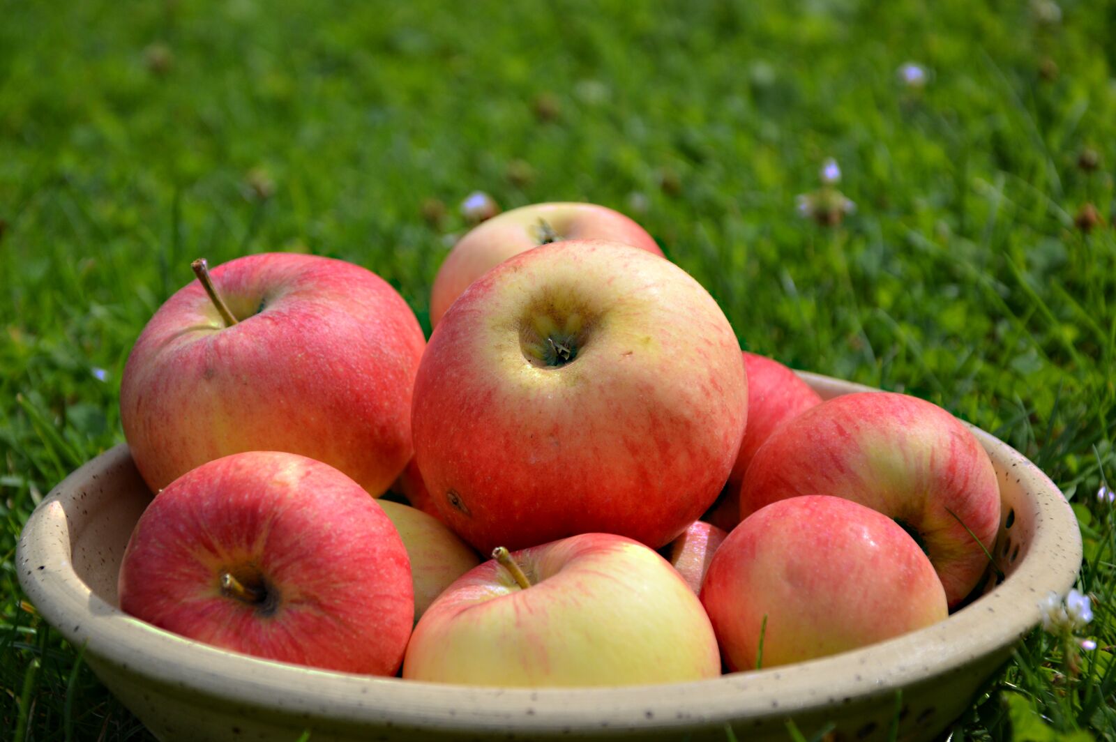Nikon D3200 sample photo. Apple, fruit, fruit bowl photography