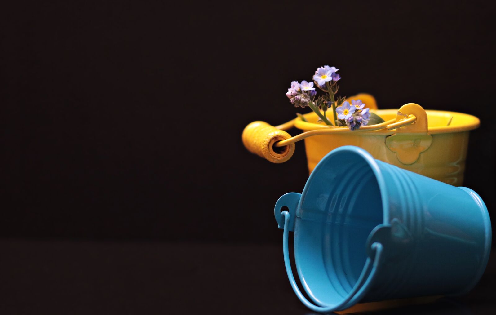Canon EOS 80D sample photo. Bucket, forget me not photography