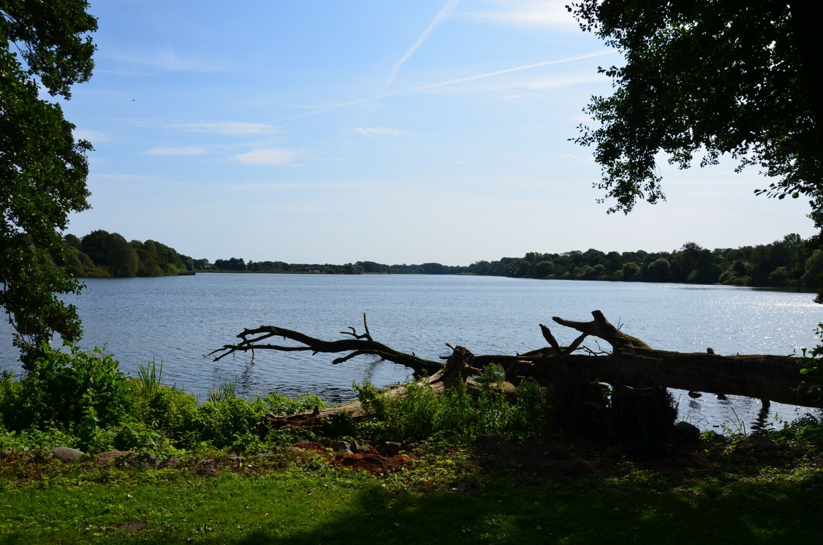 Nikon D5100 sample photo. Lake, trees, water photography