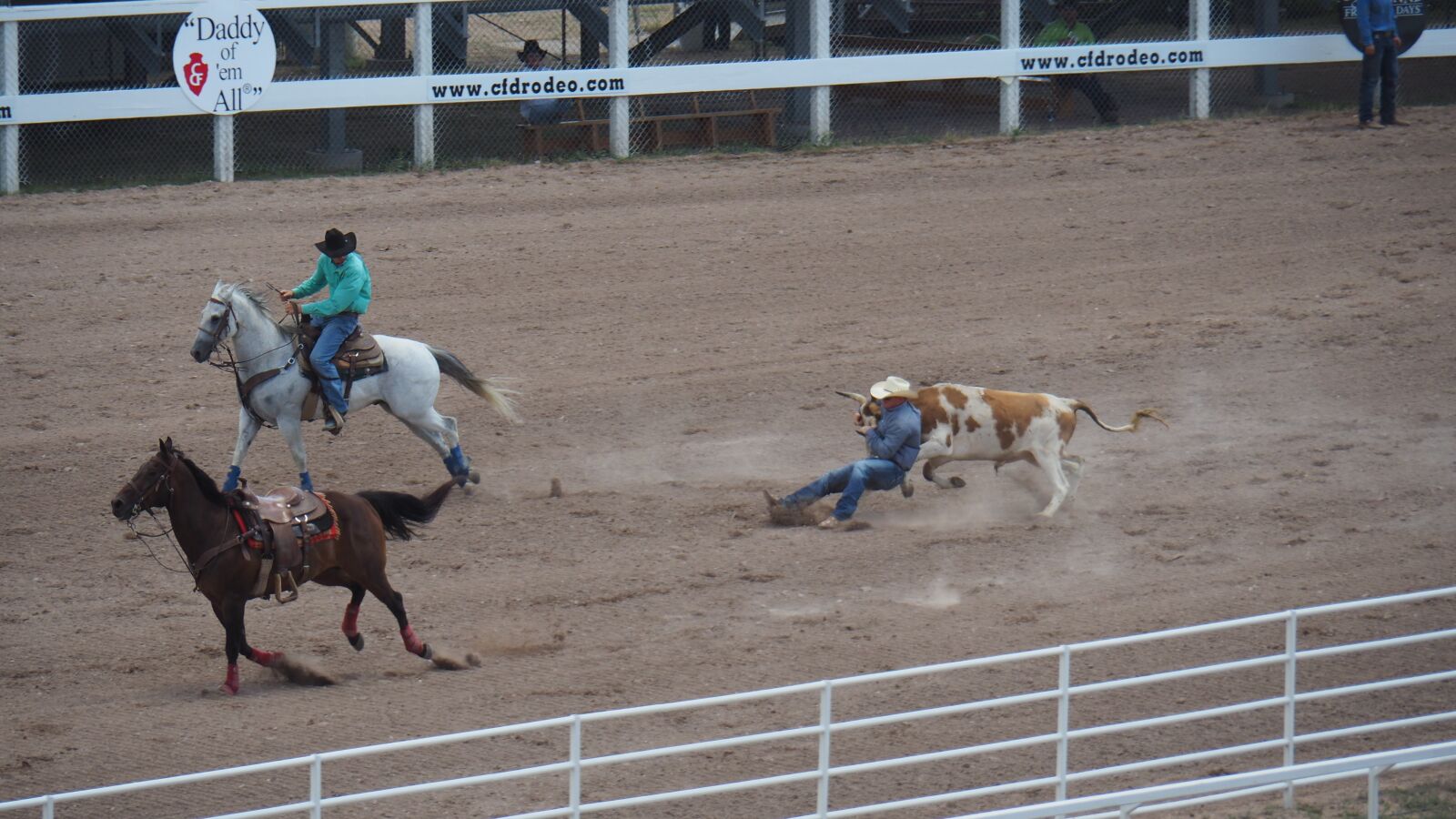 Olympus OM-D E-M5 II sample photo. America, cowboy, horses photography