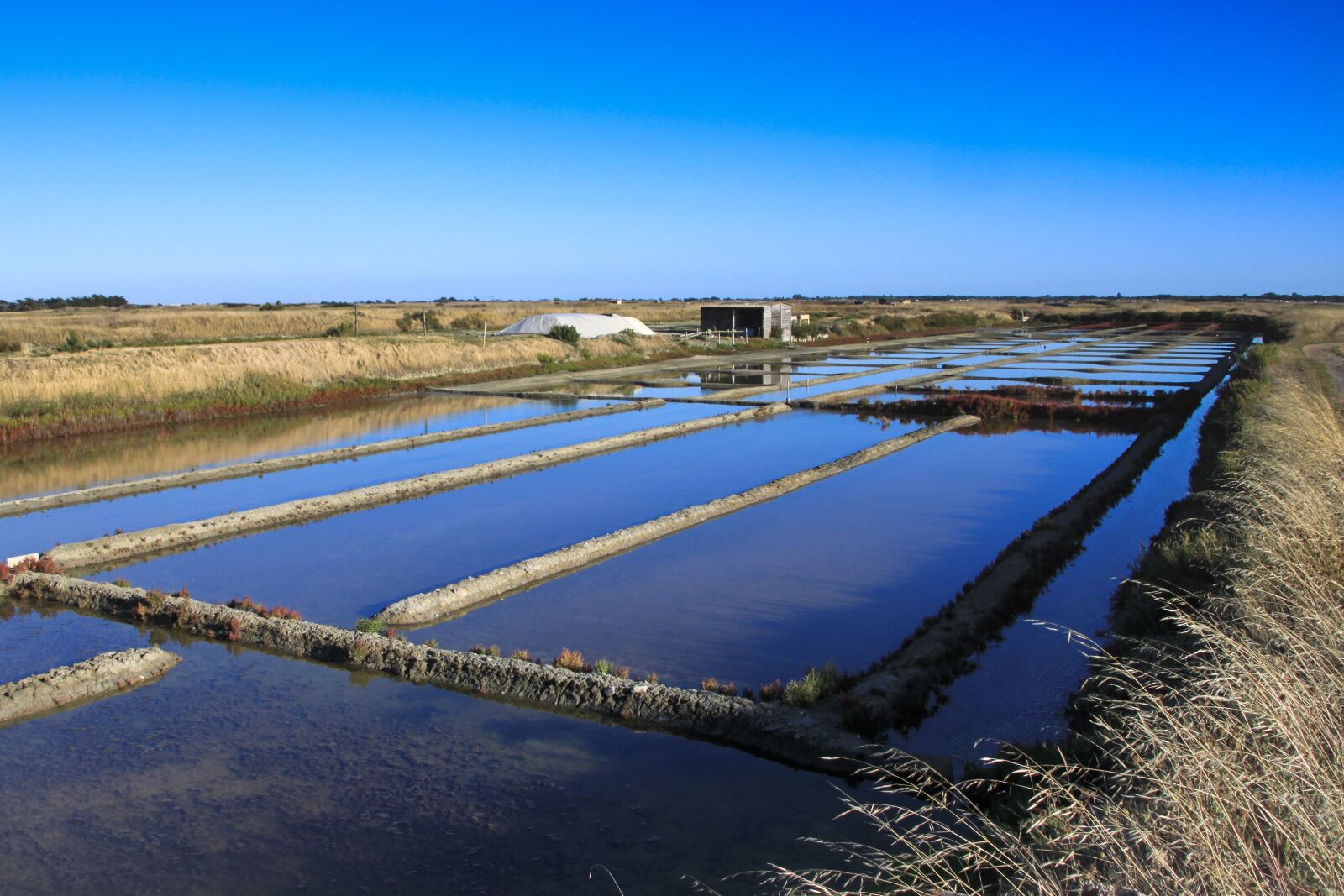 Canon EOS 500D (EOS Rebel T1i / EOS Kiss X3) + Canon TS-E 90mm F2.8 Tilt-Shift sample photo. Salt marsh, salt, salt photography