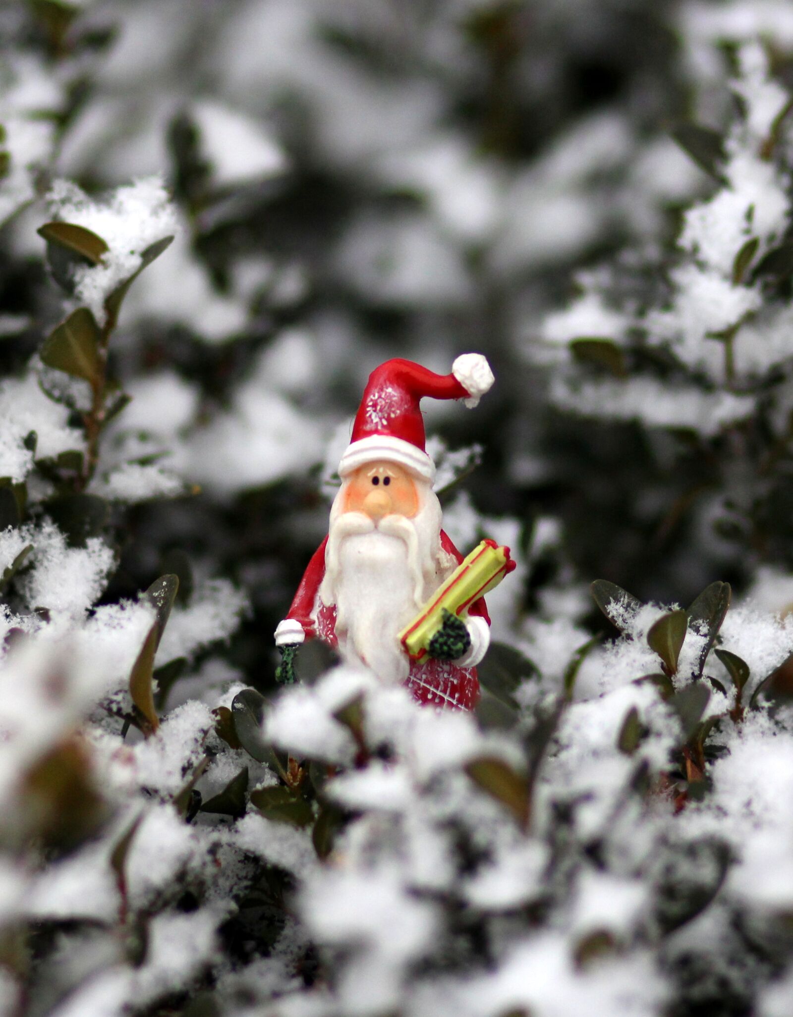 Canon EOS 700D (EOS Rebel T5i / EOS Kiss X7i) + Canon EF 85mm F1.8 USM sample photo. Decoration, winter, christmas photography