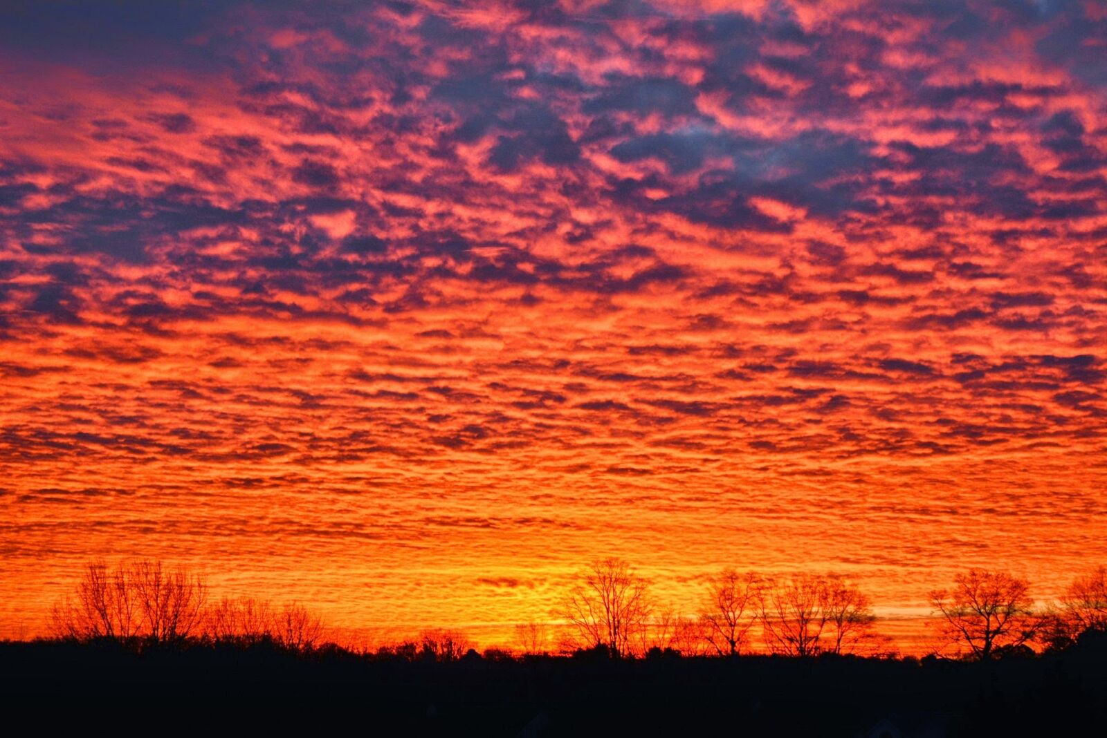 Nikon D5200 sample photo. Fire, in, the, morning photography