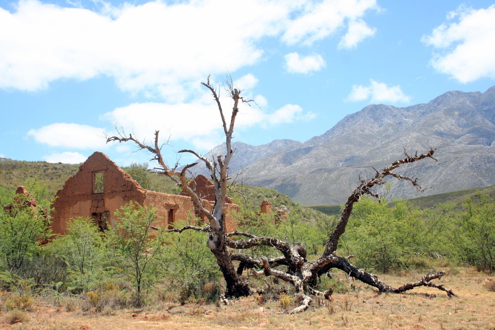 Canon EOS 350D (EOS Digital Rebel XT / EOS Kiss Digital N) sample photo. Broken, deserted, karoo, ruin photography
