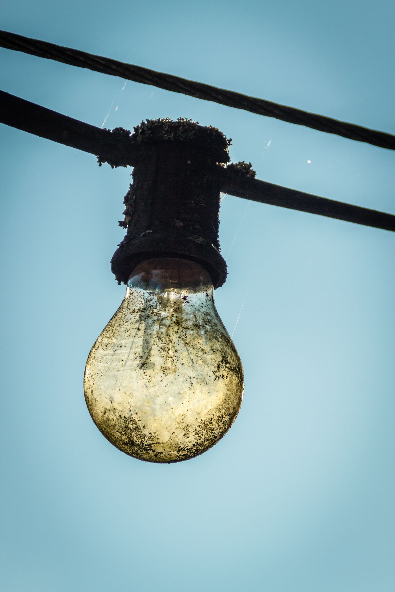Canon EOS 7D sample photo. Light bulb, lichterkette, outdoor photography