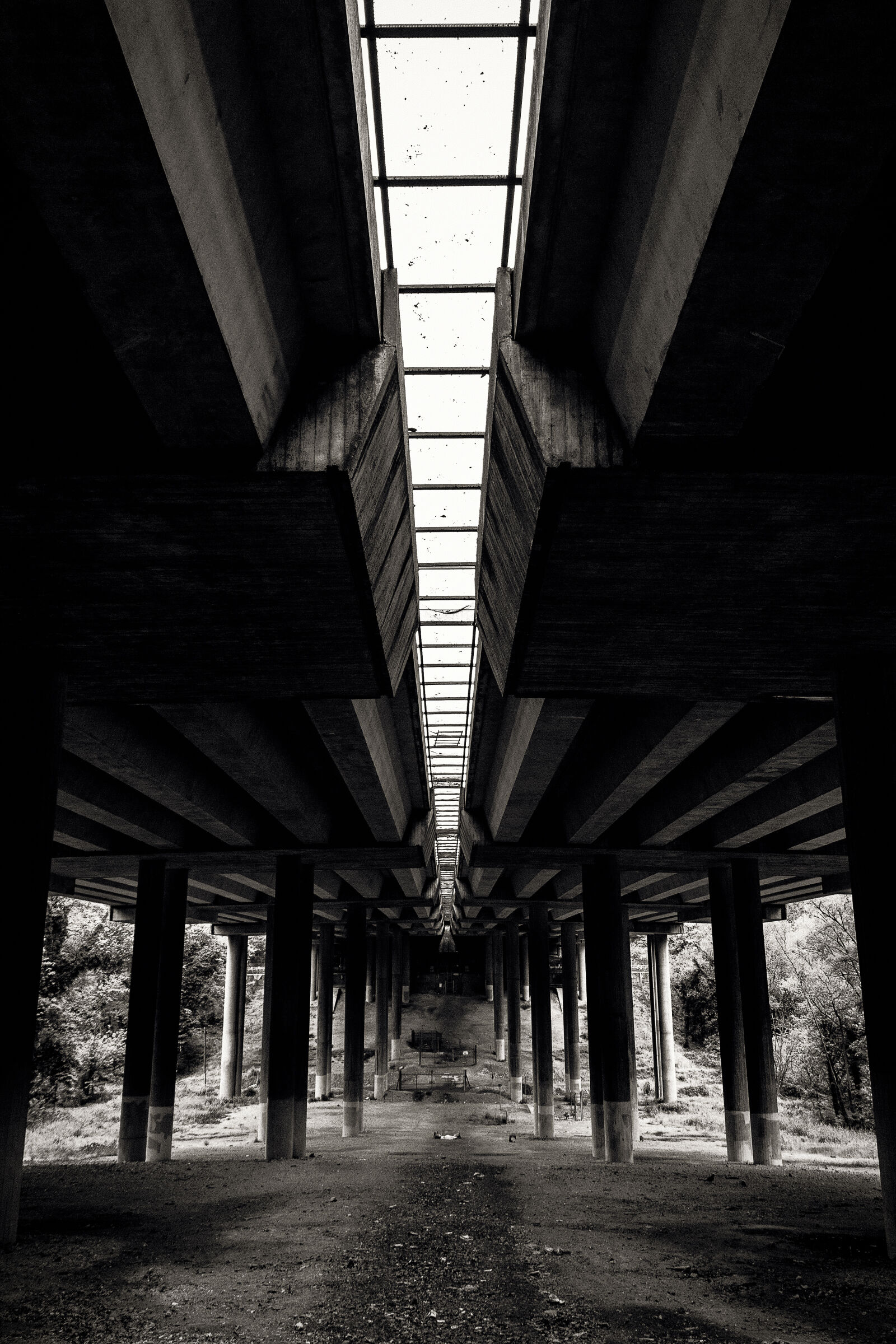Canon EOS 550D (EOS Rebel T2i / EOS Kiss X4) sample photo. Black, and, white, bridge photography