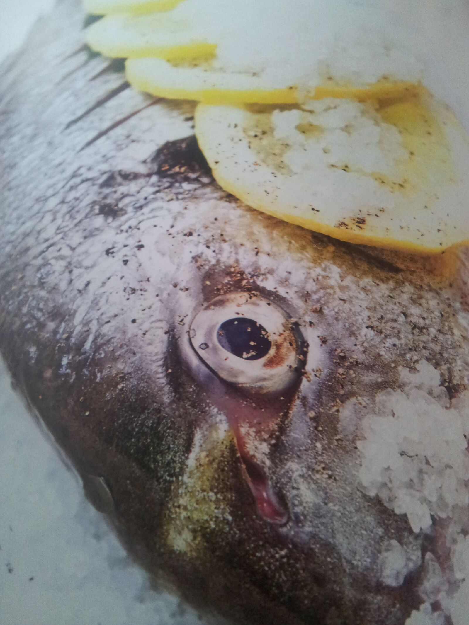 Samsung Galaxy S2 sample photo. Fish, food, seafood photography