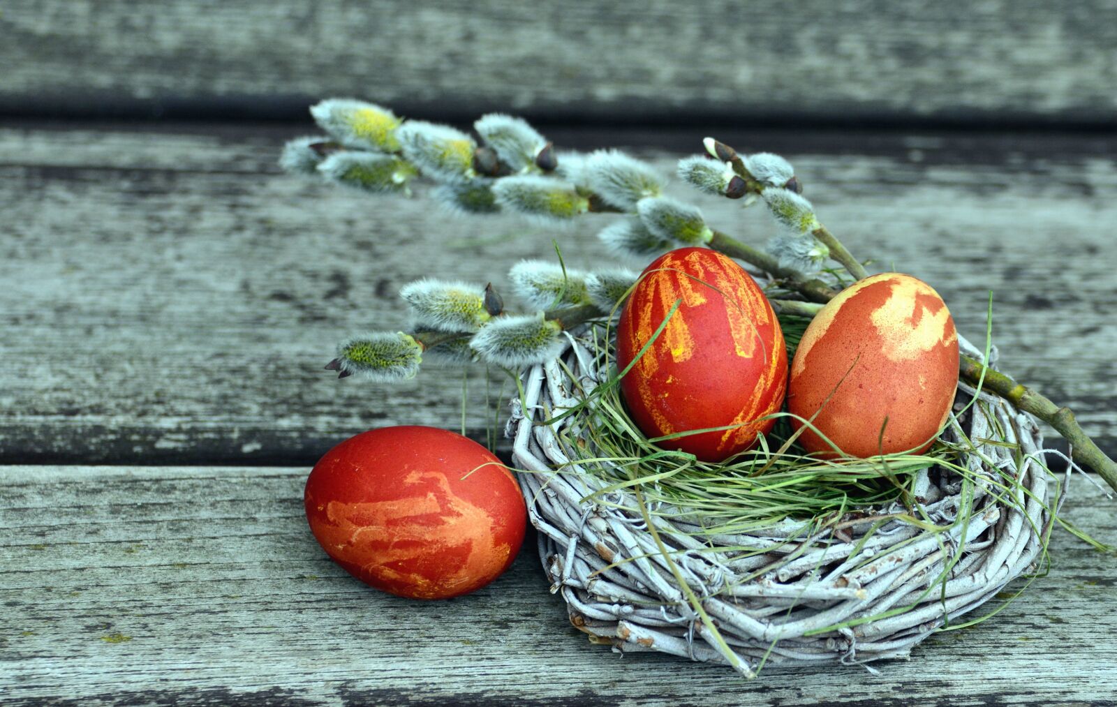 Nikon D5200 sample photo. Branch, egg, nest, paint photography
