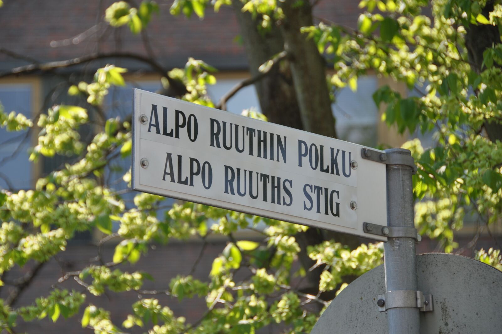 Nikon D90 sample photo. Street sign, author, street photography