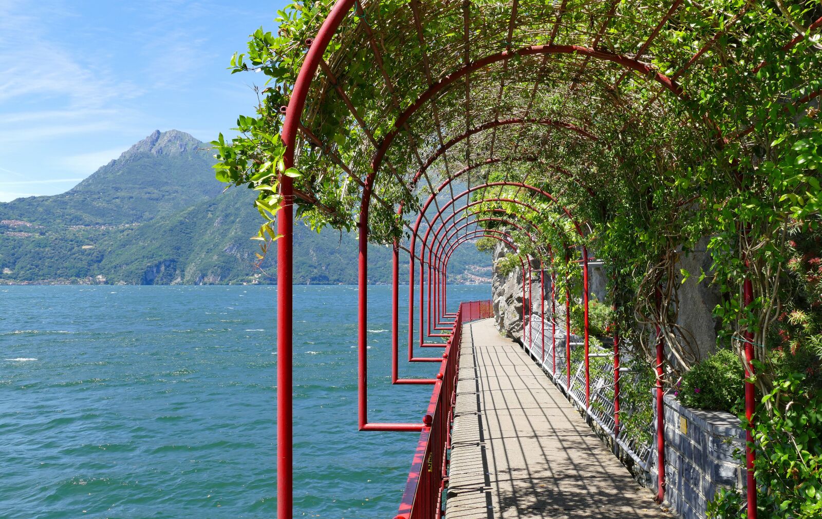 Panasonic Lumix DMC-FZ1000 sample photo. Italy, varenna, trellis photography