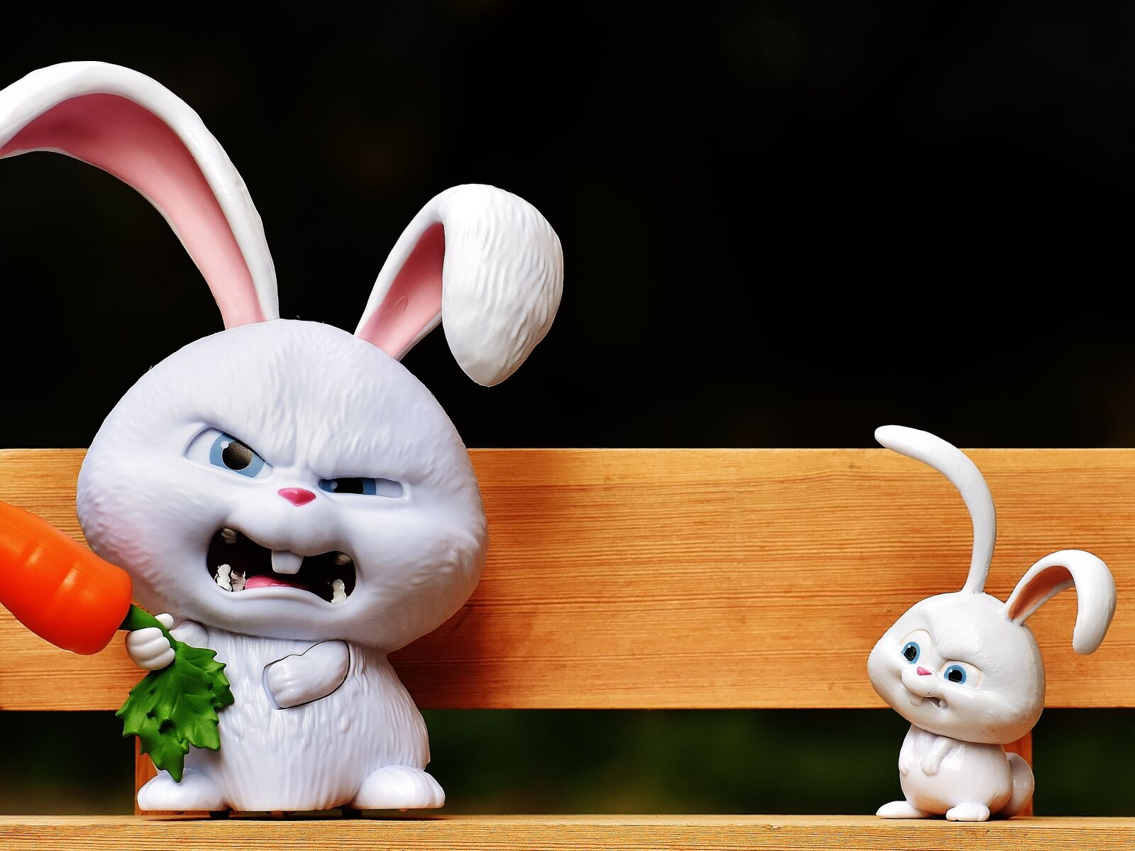Nikon D7200 sample photo. Hare, evil, bank photography