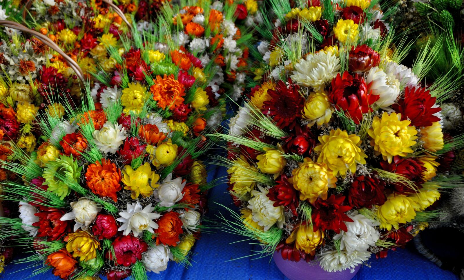 Nikon D5000 sample photo. Flower, nature, bouquet de photography
