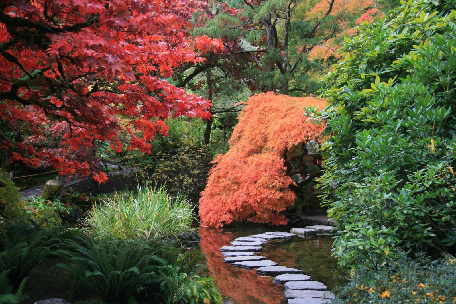 Canon EOS 400D (EOS Digital Rebel XTi / EOS Kiss Digital X) sample photo. Japanese garden, path, trees photography