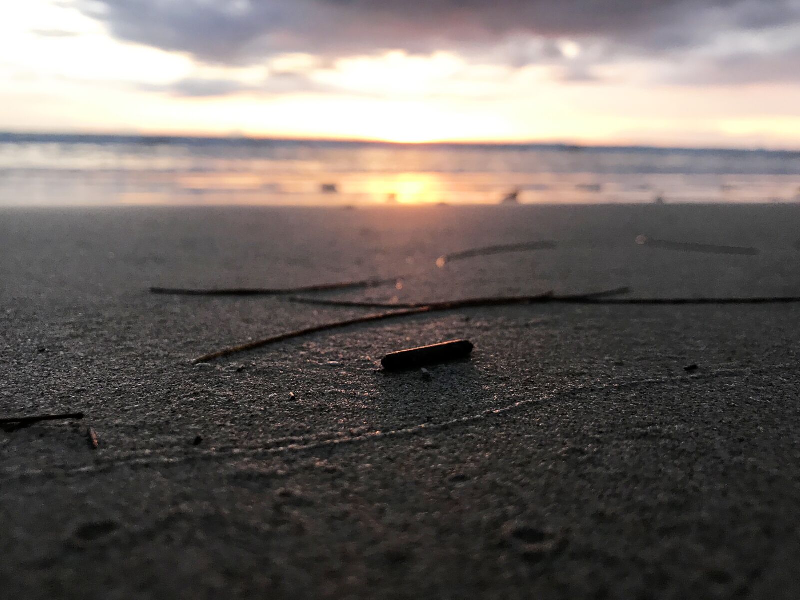 Apple iPhone 7 Plus sample photo. Phuket sea, beach, deadwood photography