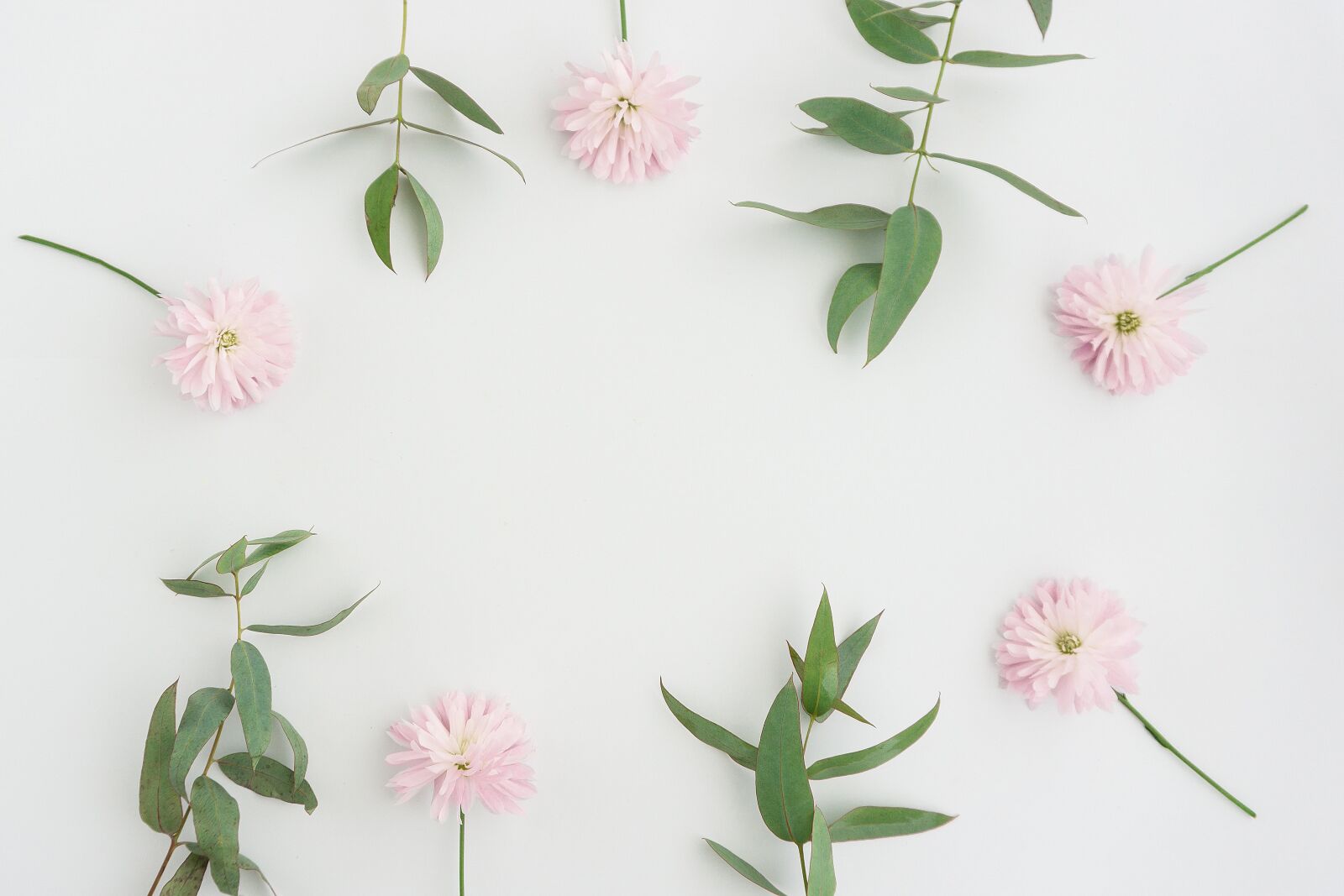 Sony a6000 sample photo. Flowers, background, nature photography