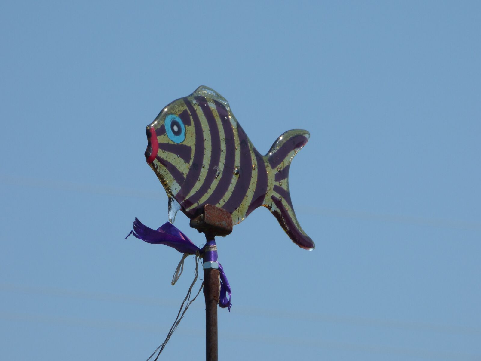 Panasonic DMC-FZ72 sample photo. Fish, glass art, sky photography