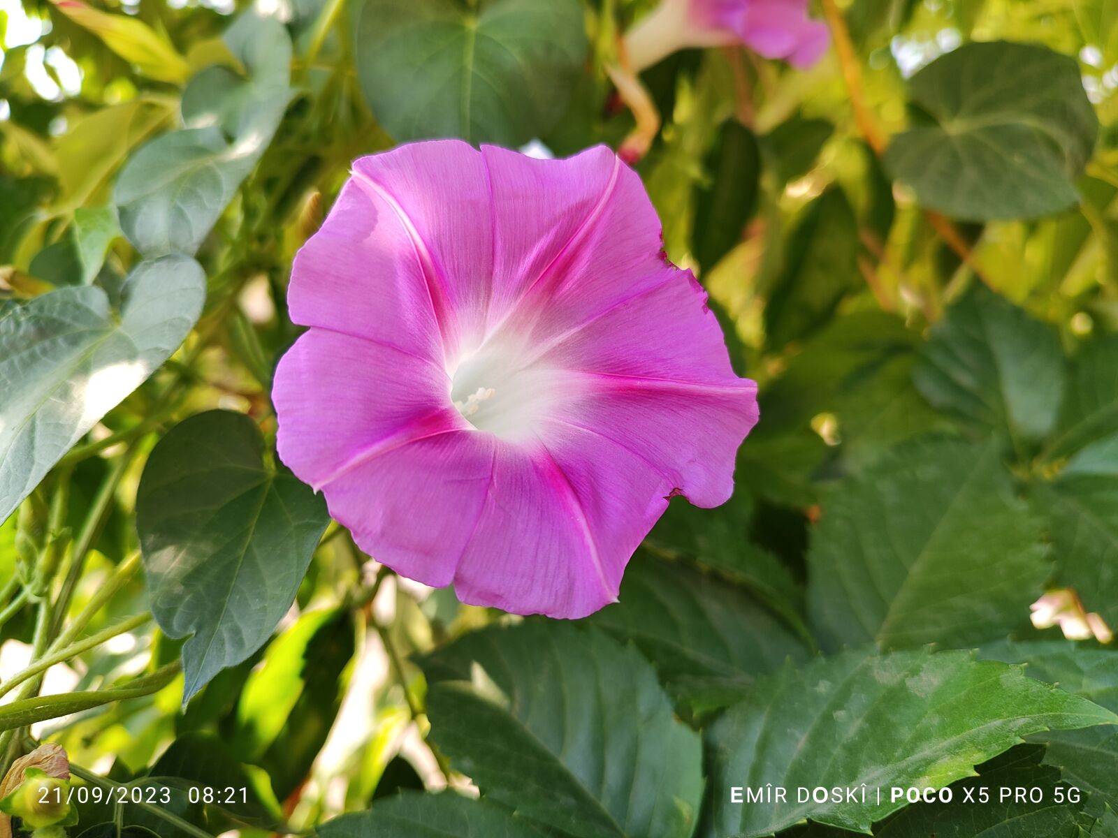 Xiaomi 22101320G sample photo. گولێن سپێدەهیا photography