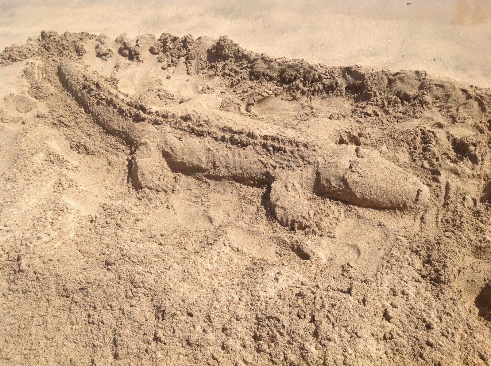 Apple iPad sample photo. Crocodile, sand, predator photography
