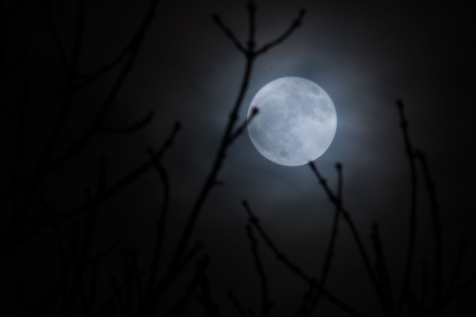 Nikon D5200 sample photo. Moon, supermoon, moonlight photography